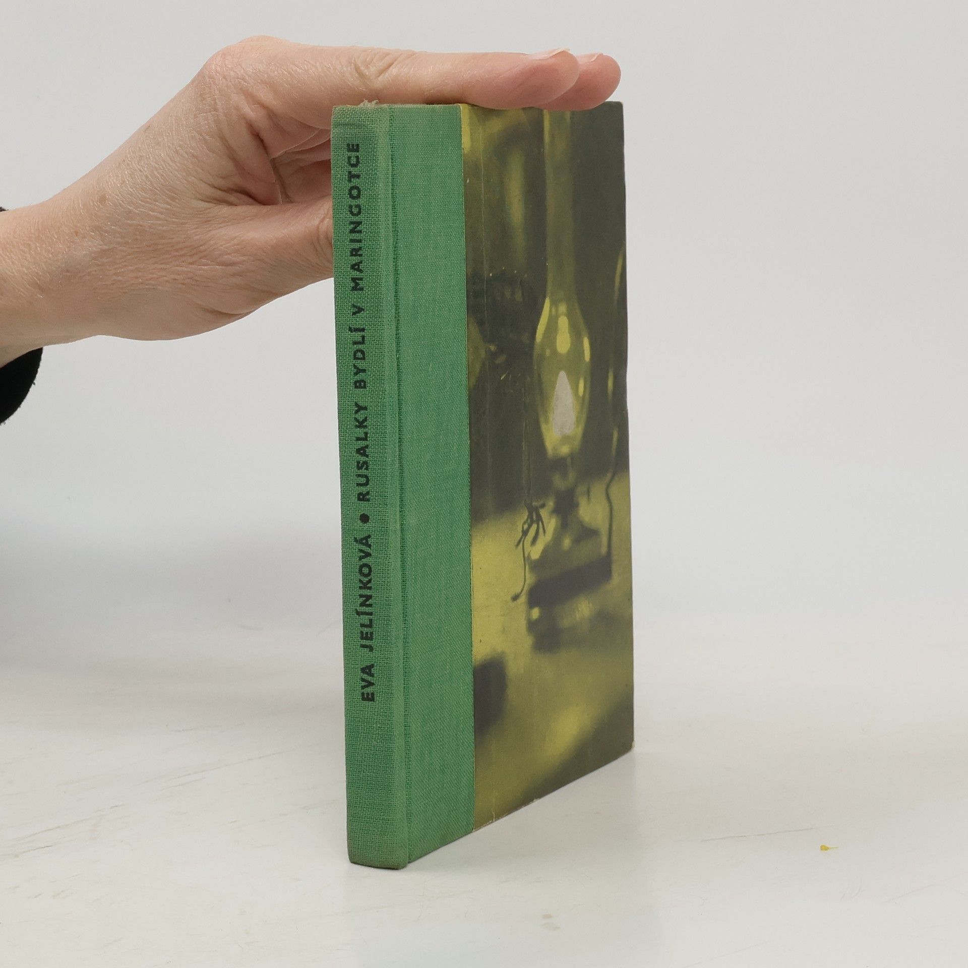 Eva Jelínková Rusalky bydlí v maringotce