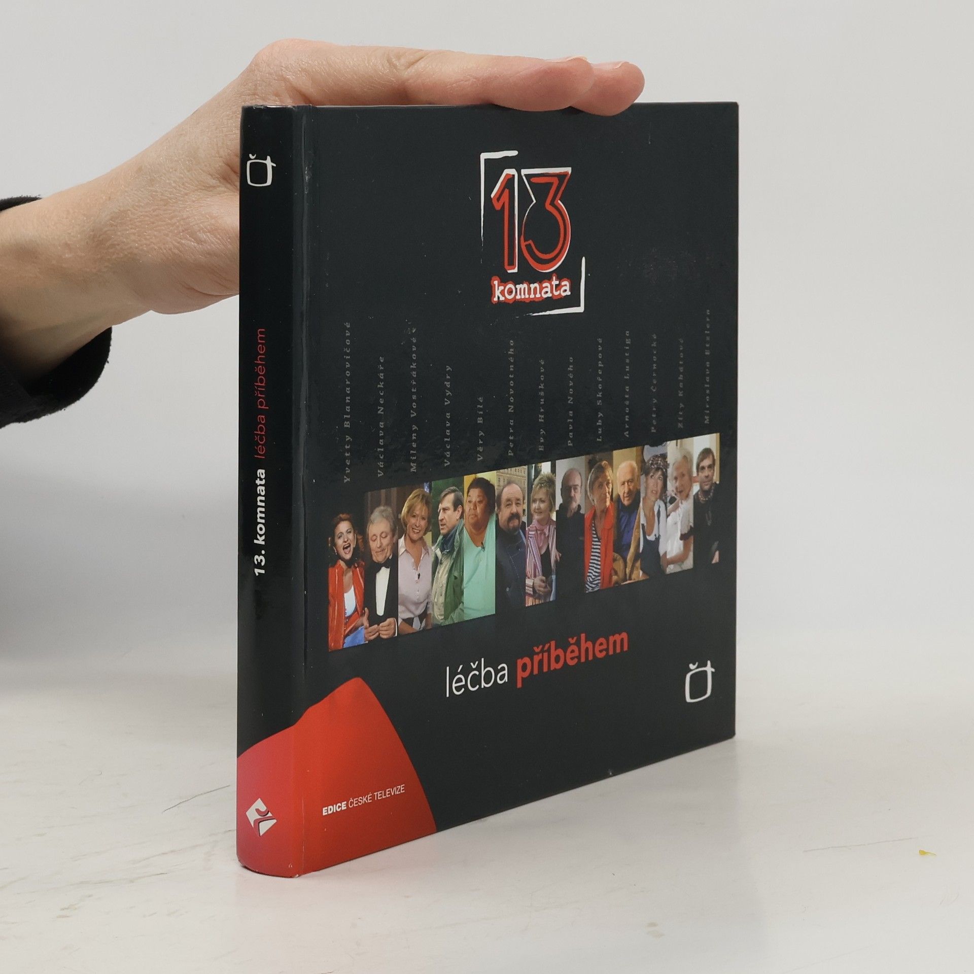 13. komnata. Léčba příběhem