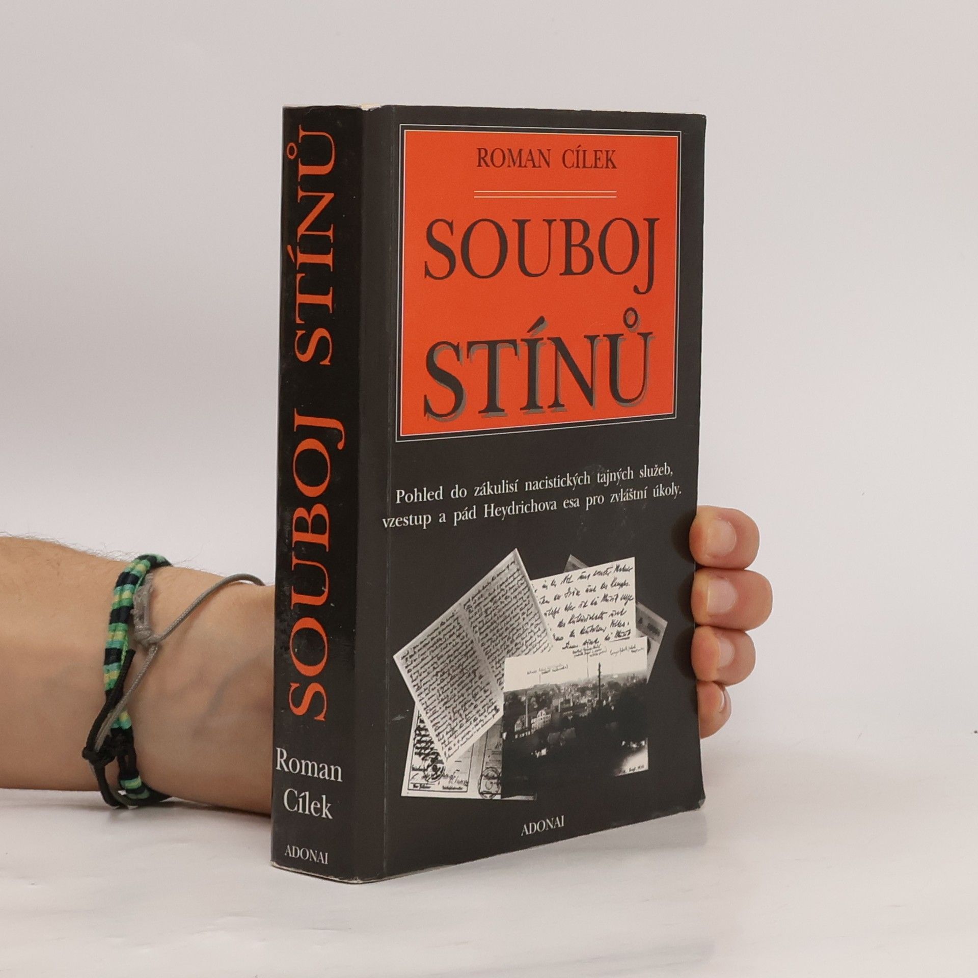 Roman Cílek Souboj stínů