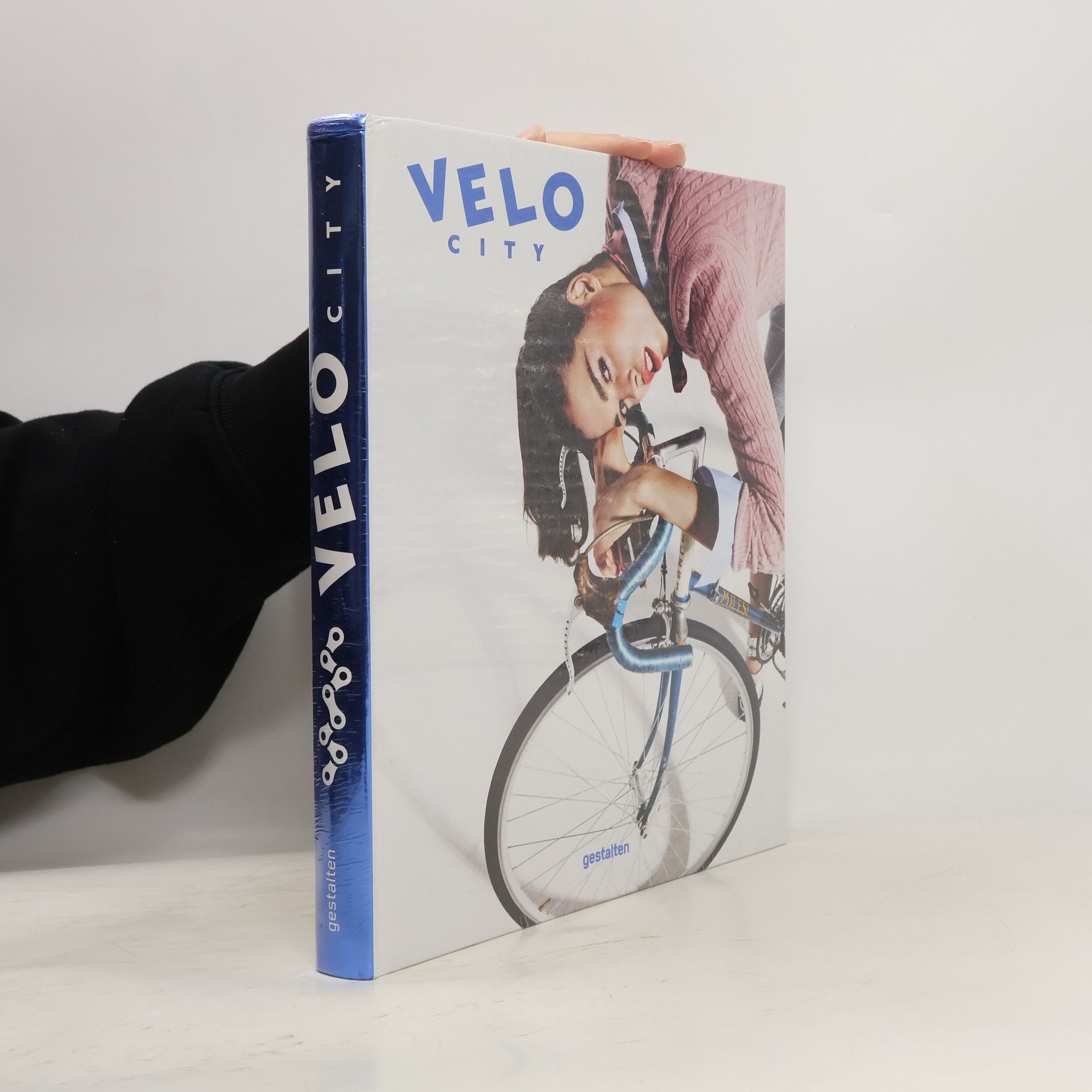Robert Klanten Velo City