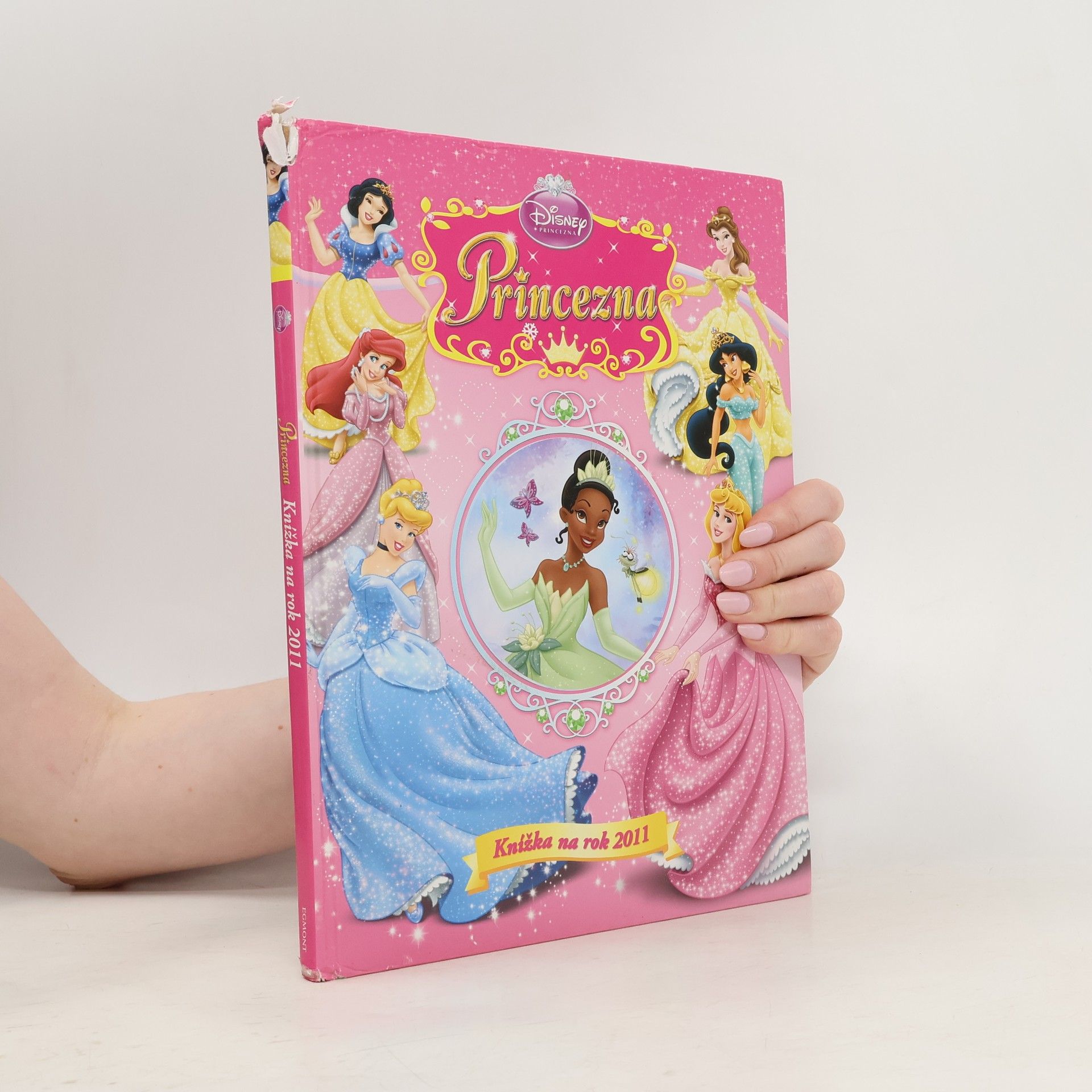 Princezna : knížka na rok 2011