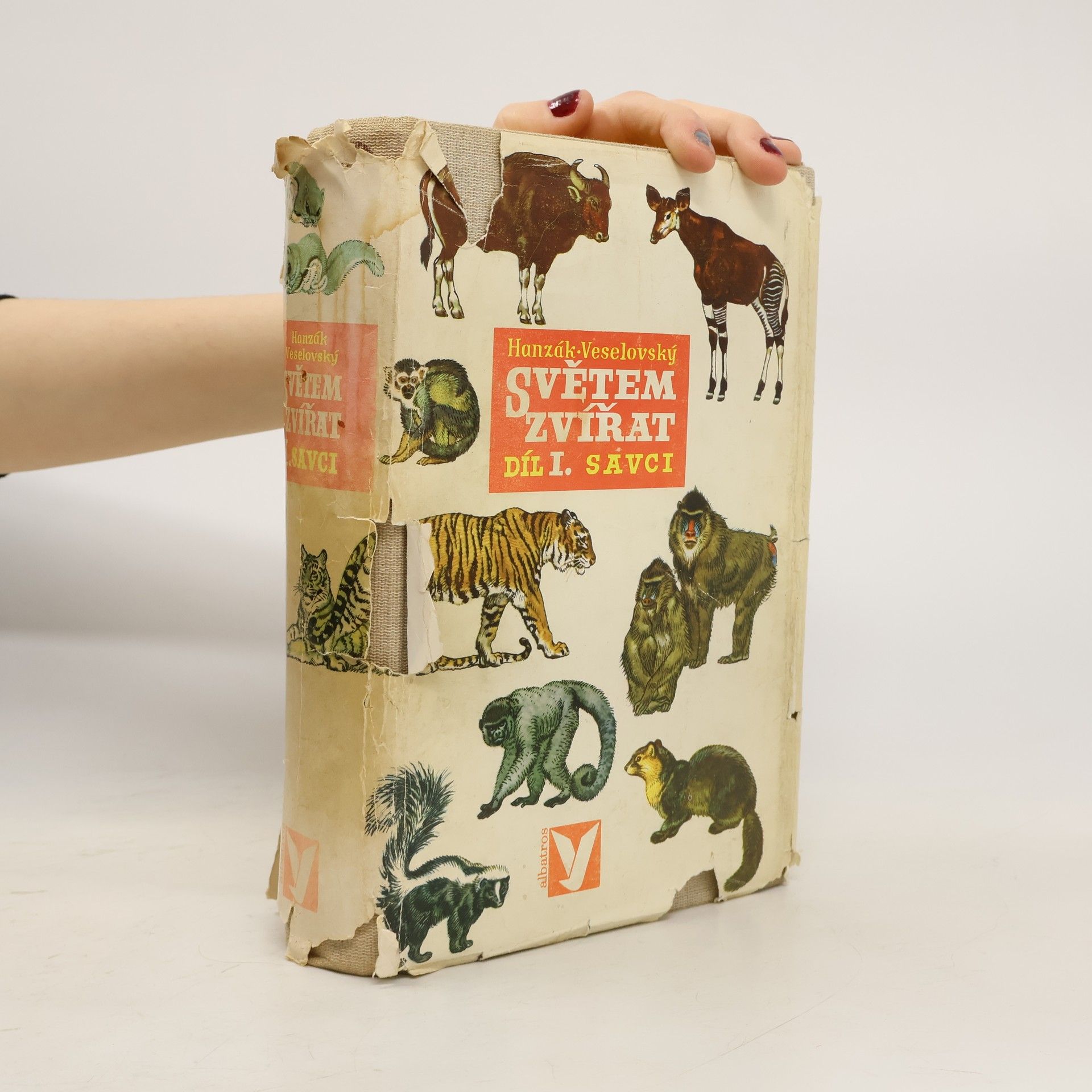 Jan Hanzák Světem zvířat díl I. Savci