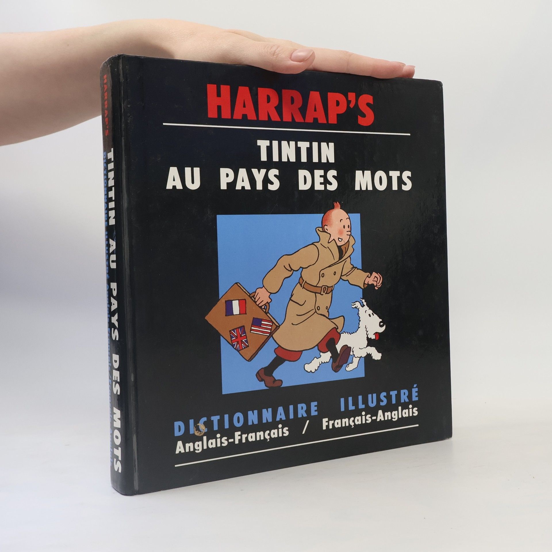 Hélène Houssemaine-Florent Tintin au pays des mots