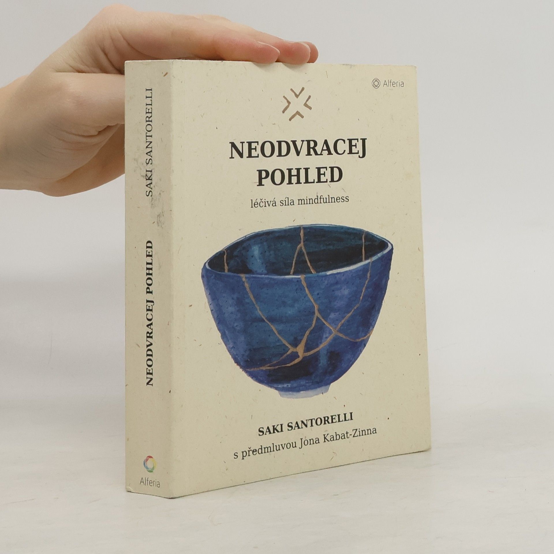 Saki Santorelli Neodvracej pohled : léčivá síla mindfulness