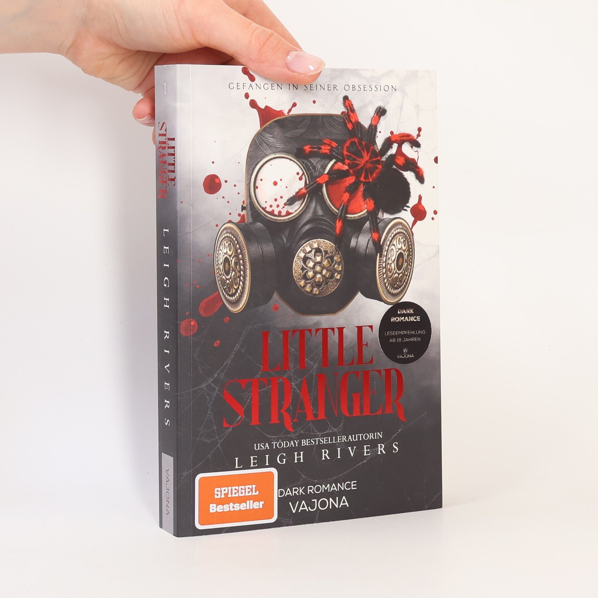 Leigh Rivers Little Stranger