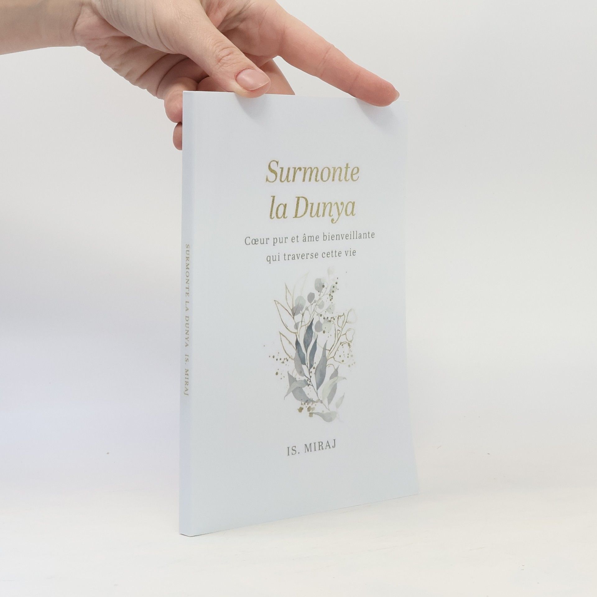 Is. Miraj Surmonte la dunya