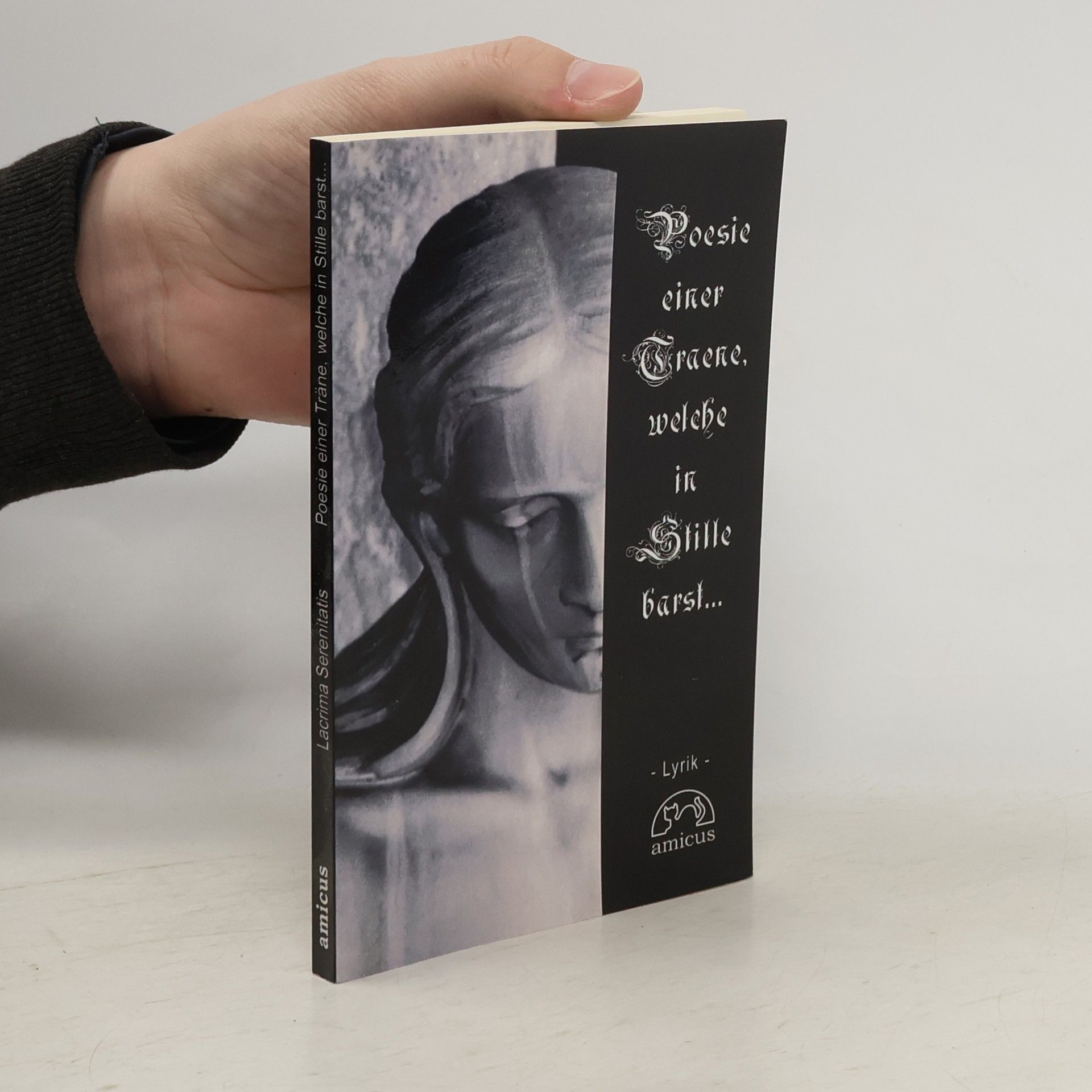 Janin Prahn Poesie einer Träne, welche in Stille barst...: Lyrik