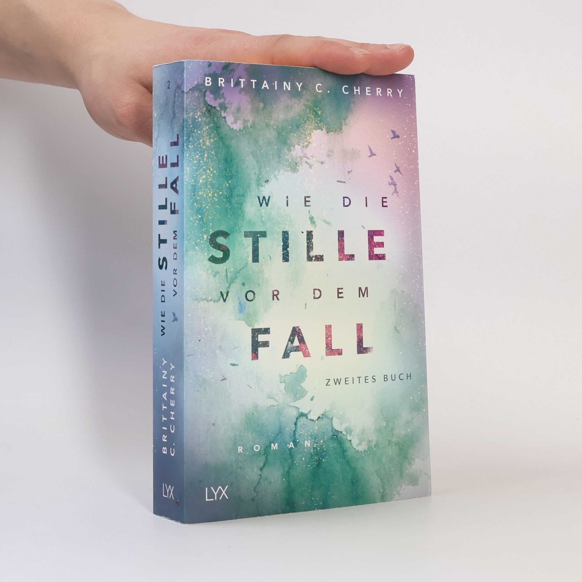 Brittainy C. Cherry Wie die Stille vor dem Fall 2