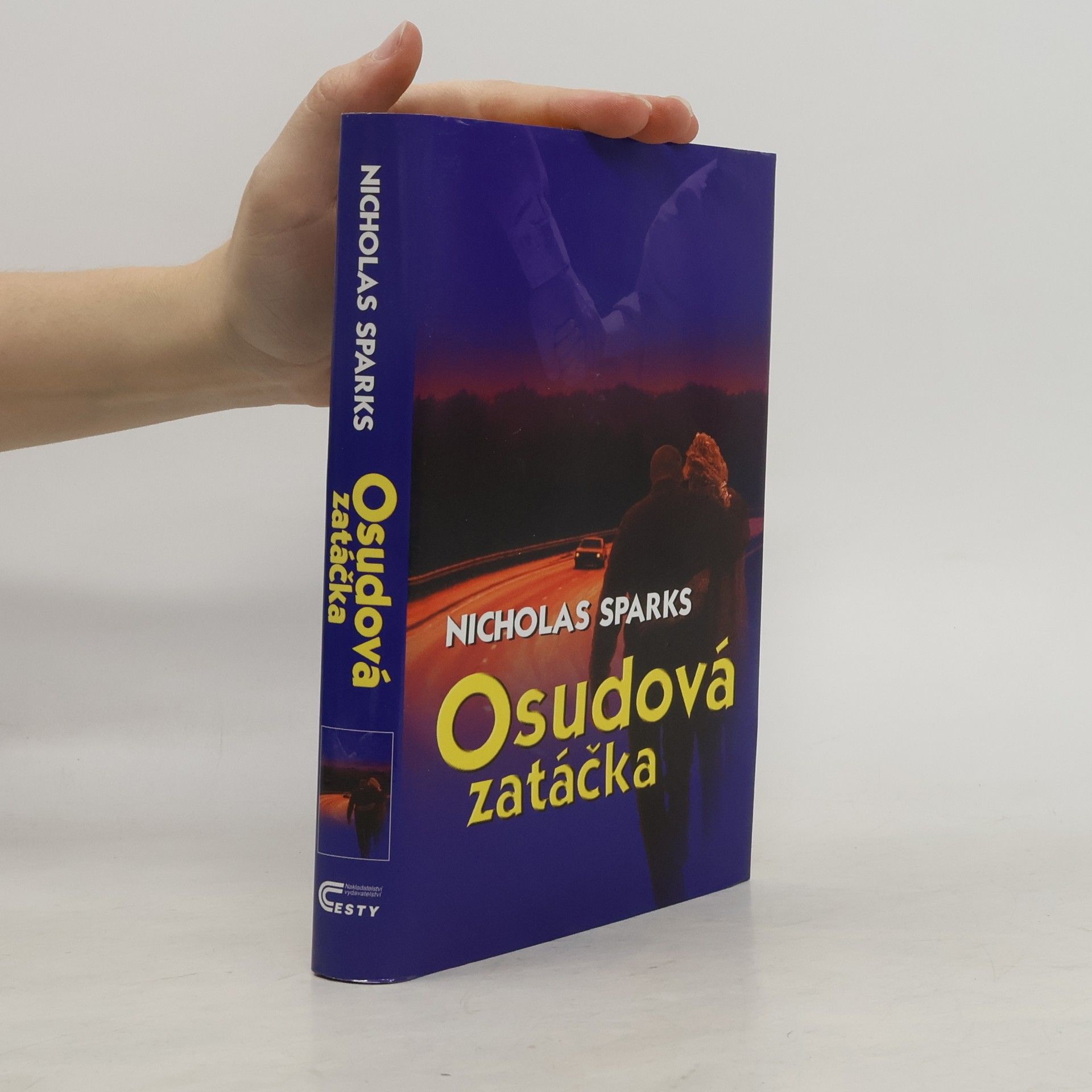 Nicholas Sparks Osudová zatáčka