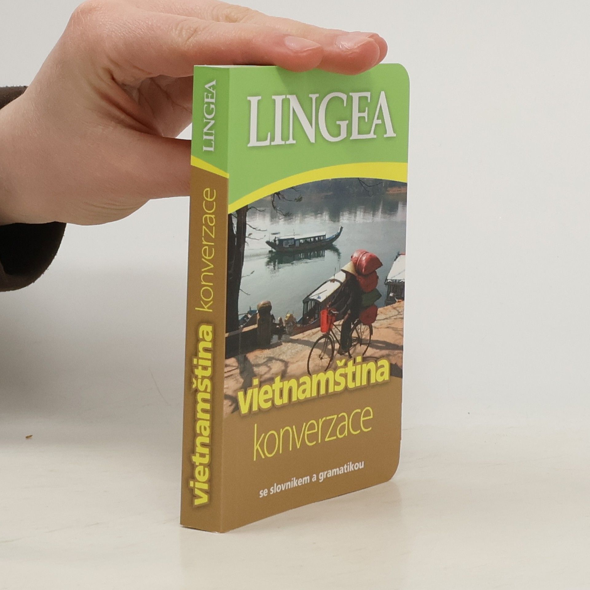 Auteurscollectief Vietnamština. Konverzace