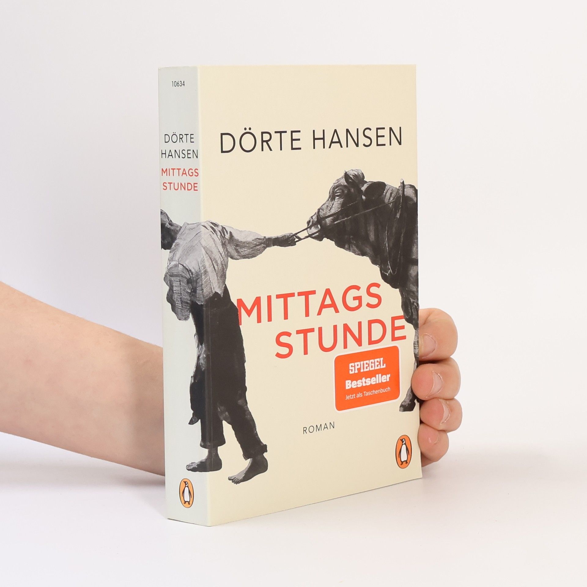Dörte Hansen Mittagsstunde
