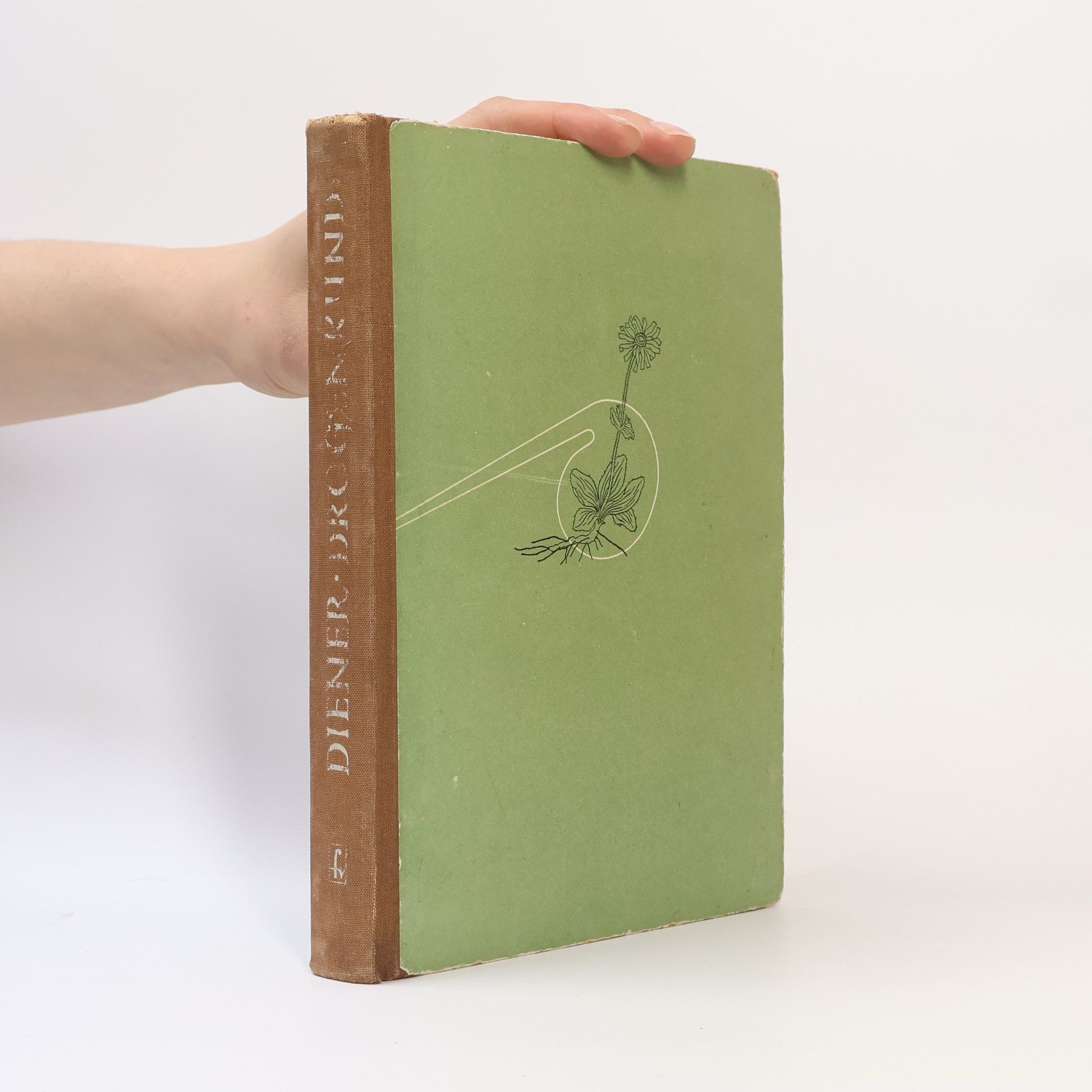 Harry Diener Drogenkunde