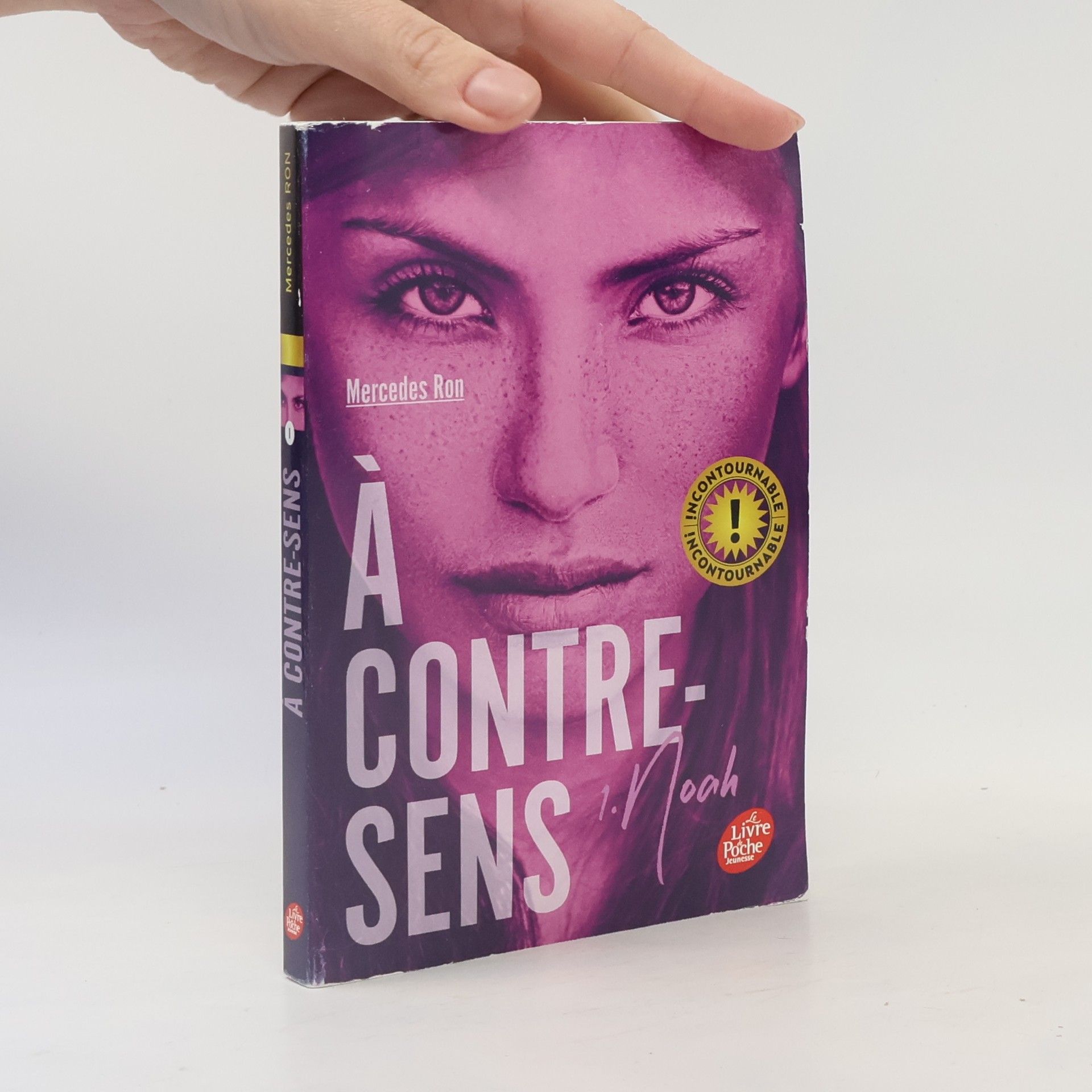 Nathalie Nédélec-Courtès À contre-sens - 1: Noah