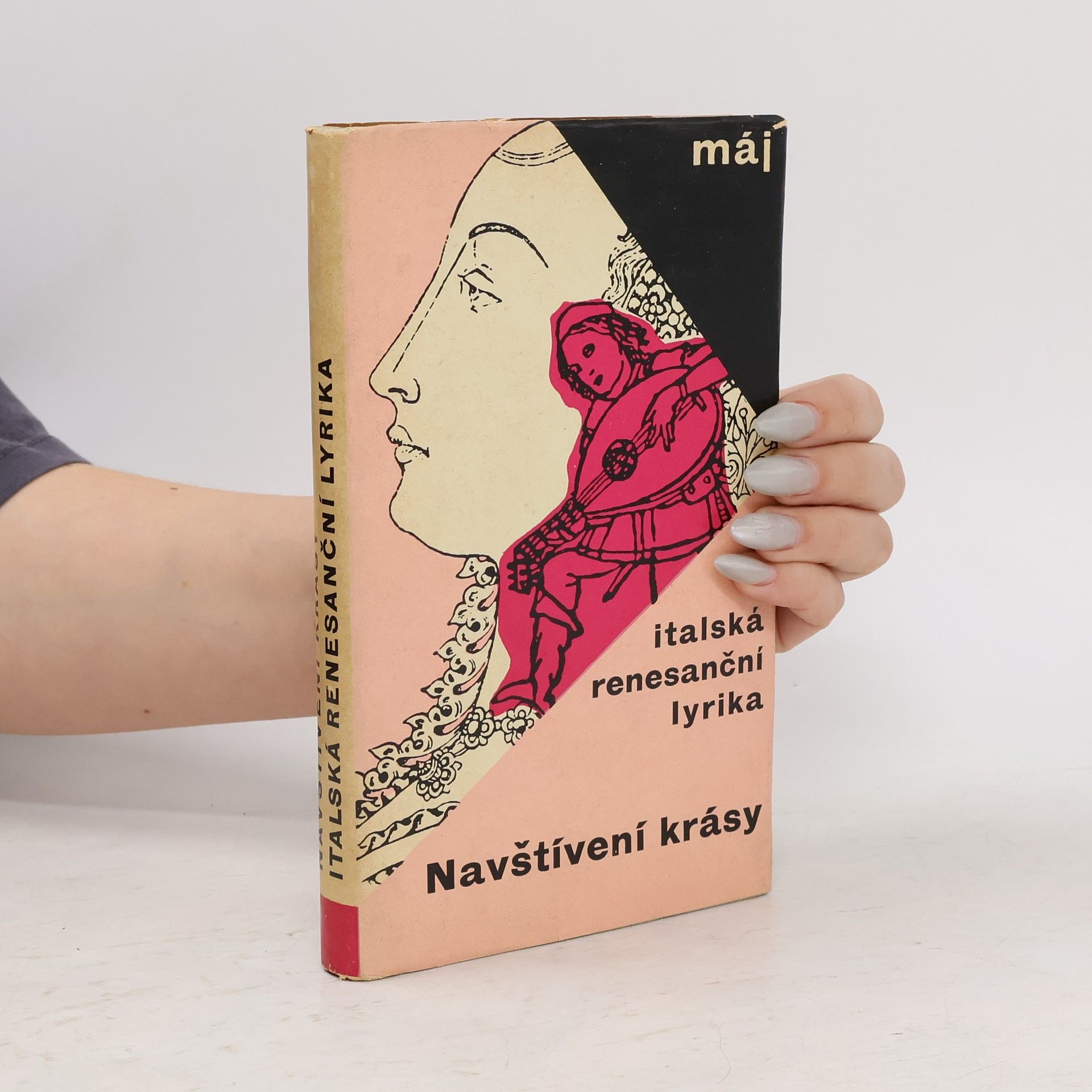 Ján Vladislav Navštívení krásy. Italská renesanční lyrika