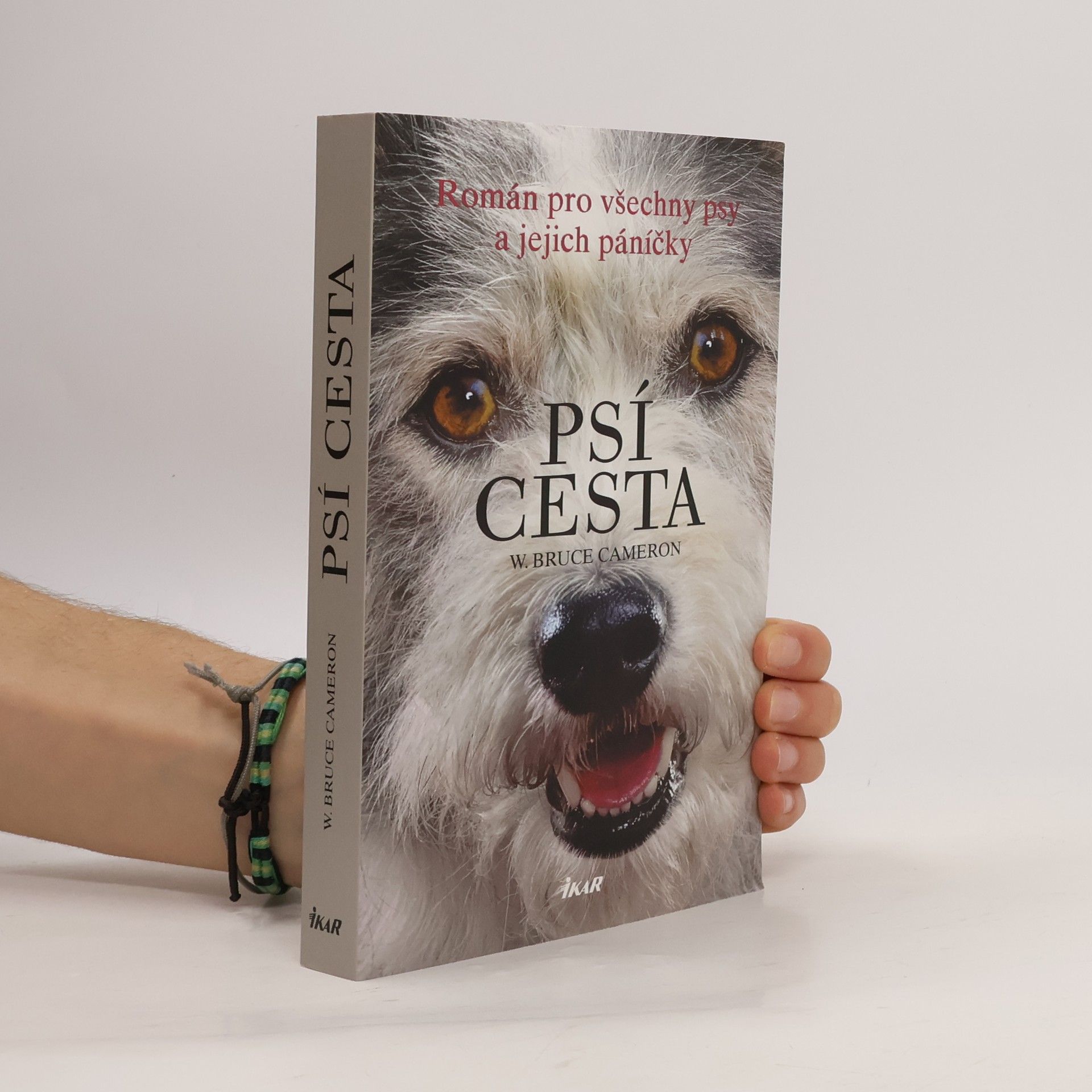 W. Bruce Cameron Psí cesta