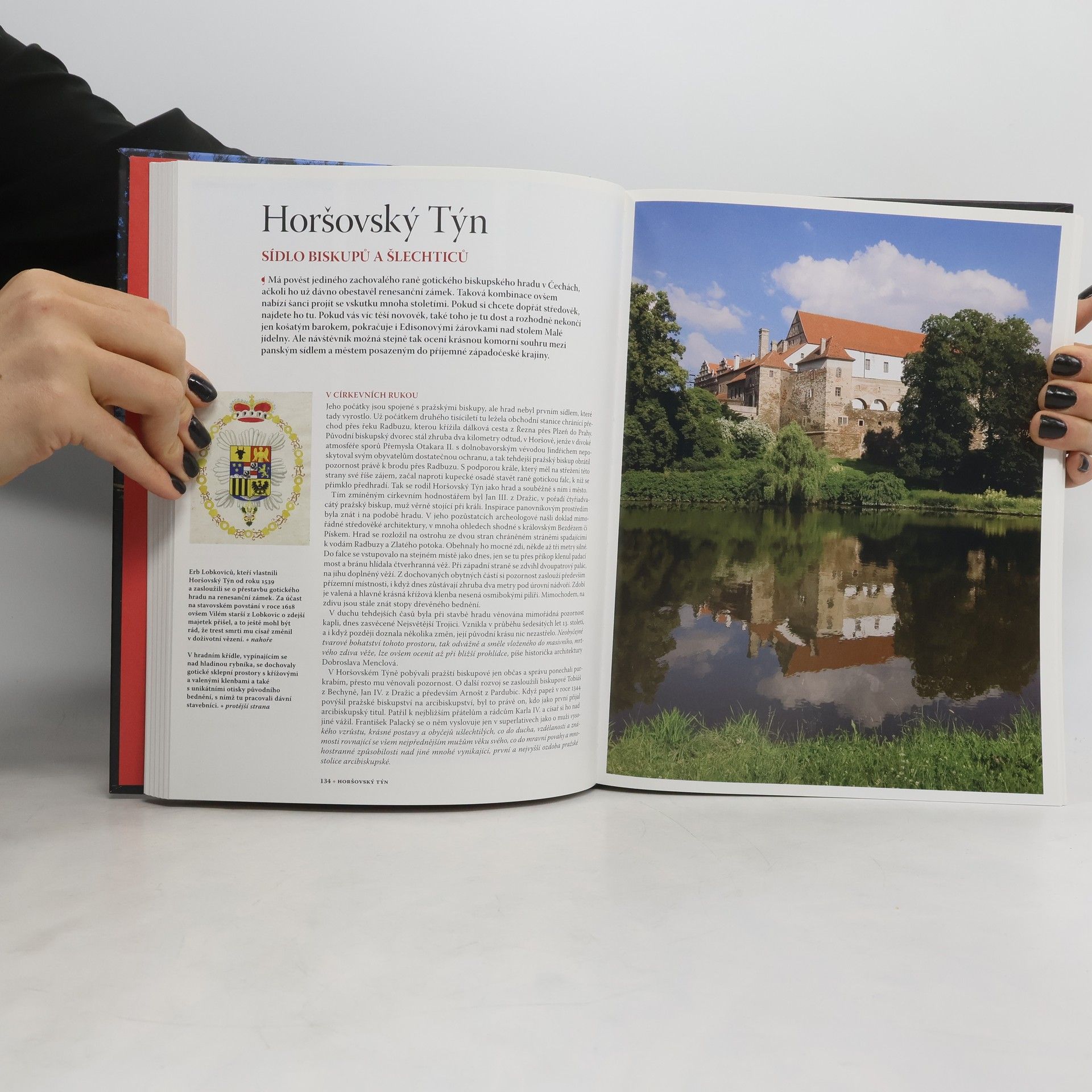 Soňa Thomová Hrady a zámky Čech, Moravy a Slezska. Toulky napříč staletími