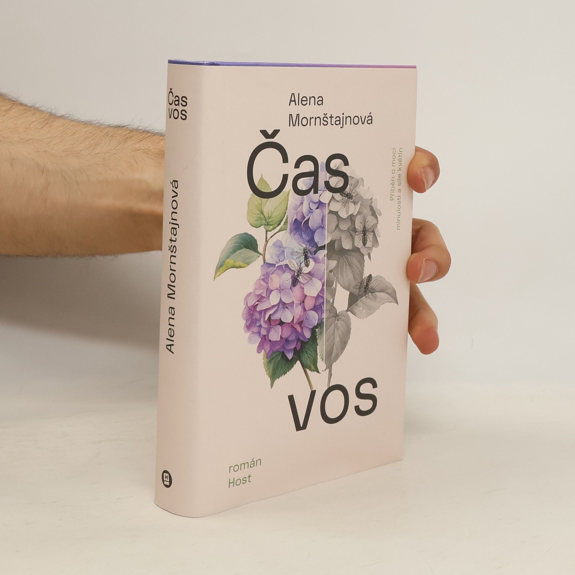 Alena Mornštajnová Čas vos