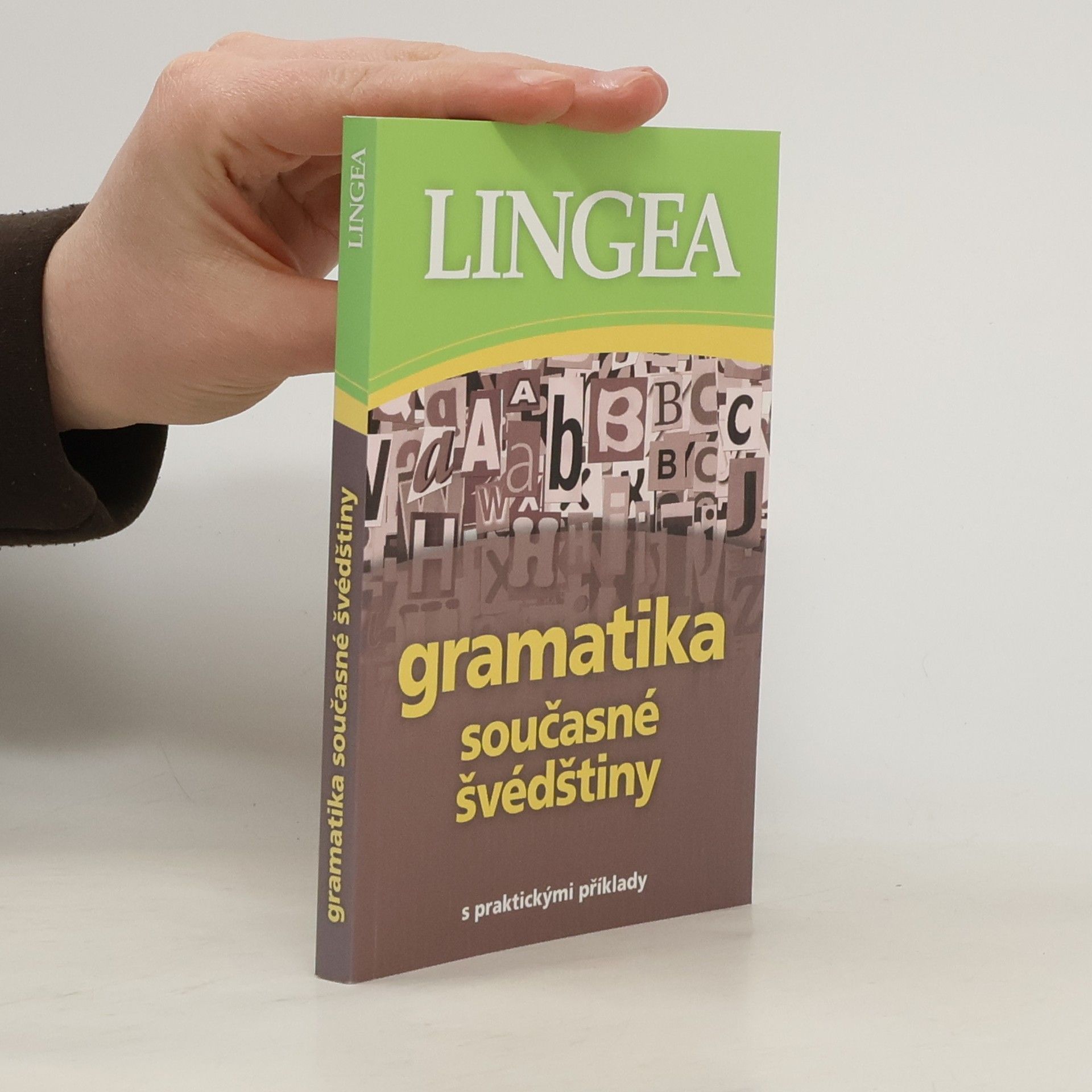 Autorenkollektiv Gramatika současné švédštiny