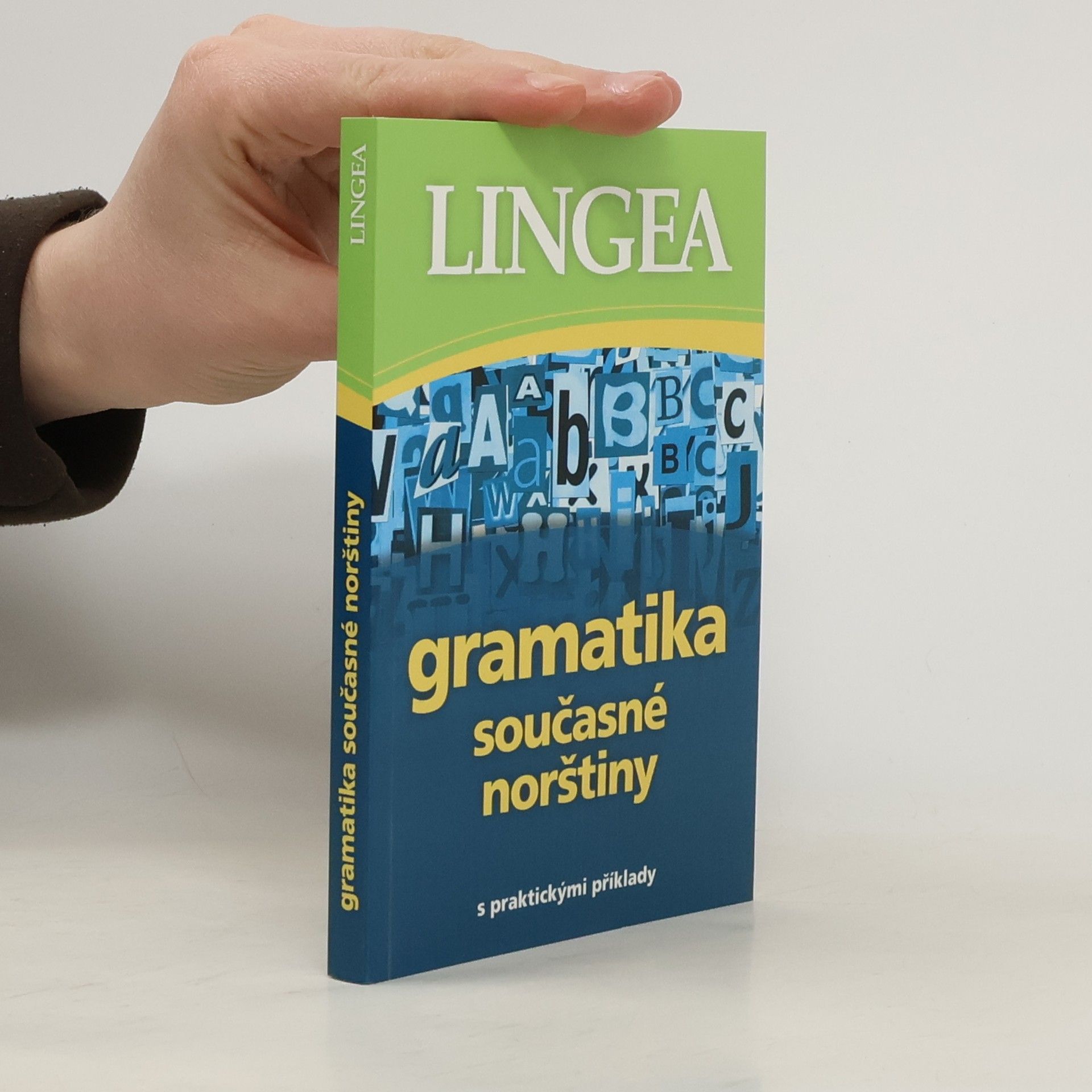 Kolektiv autorů Gramatika současné norštiny