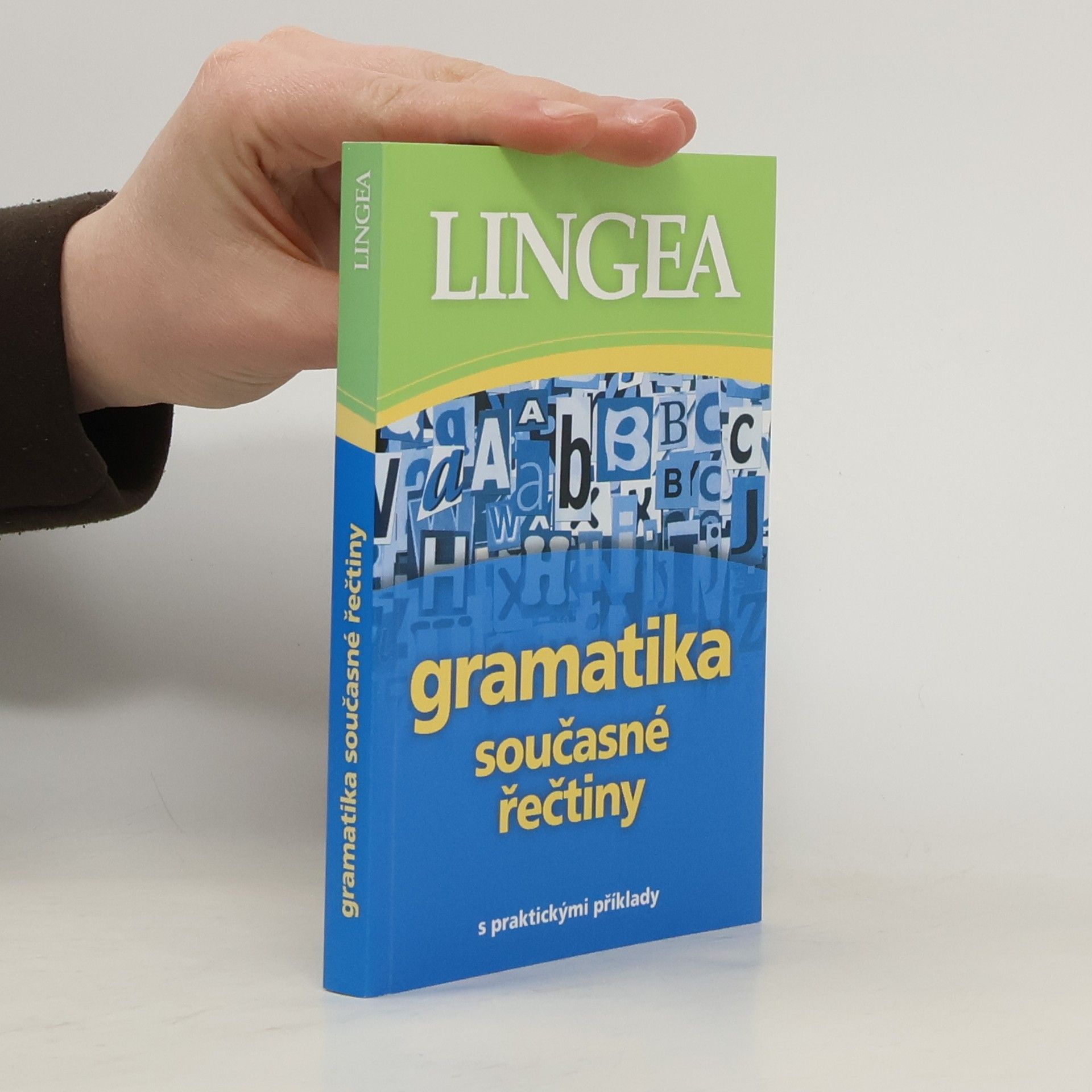 Autorenkollektiv Gramatika současné řečtiny