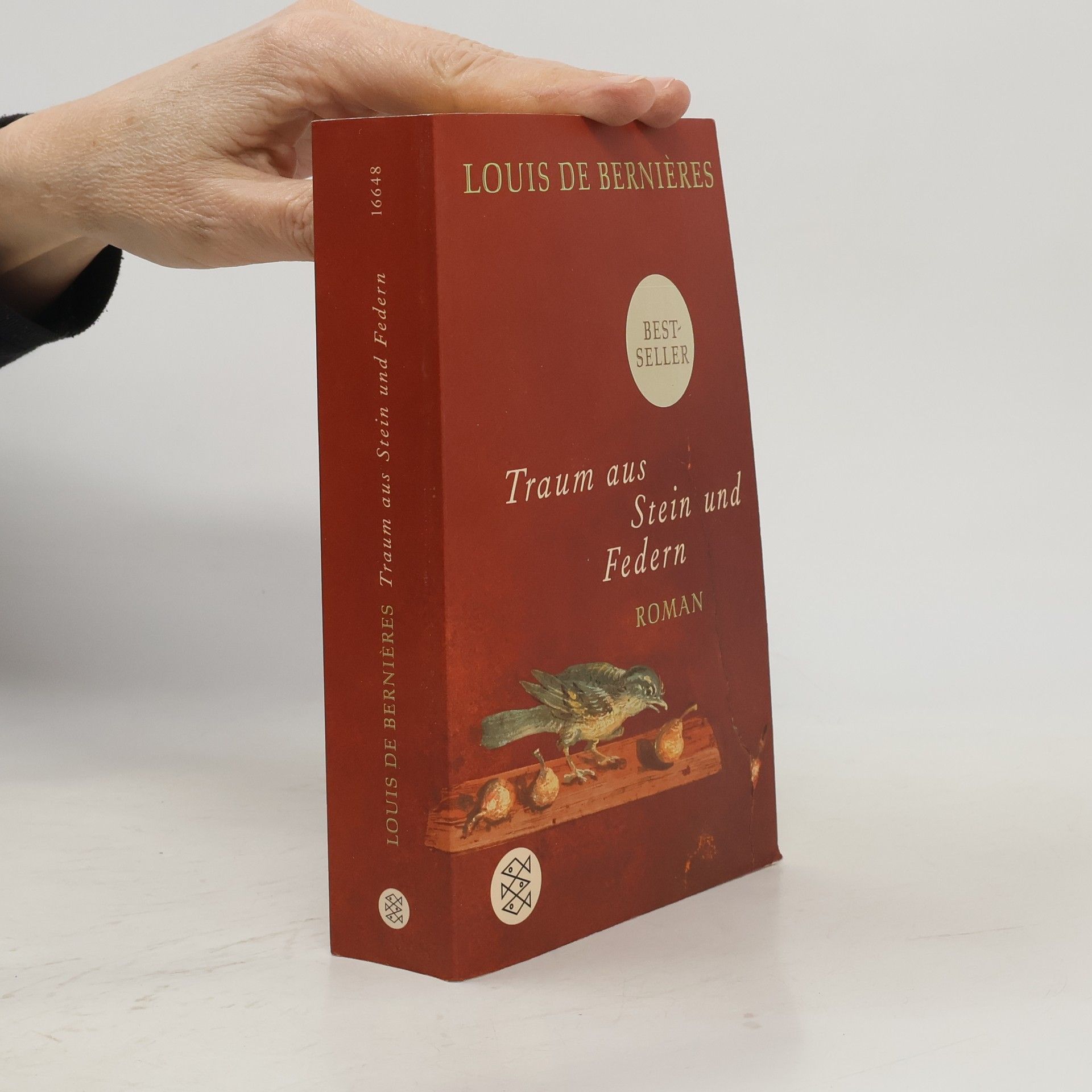 Louis de Bernières Traum aus Stein und Federn