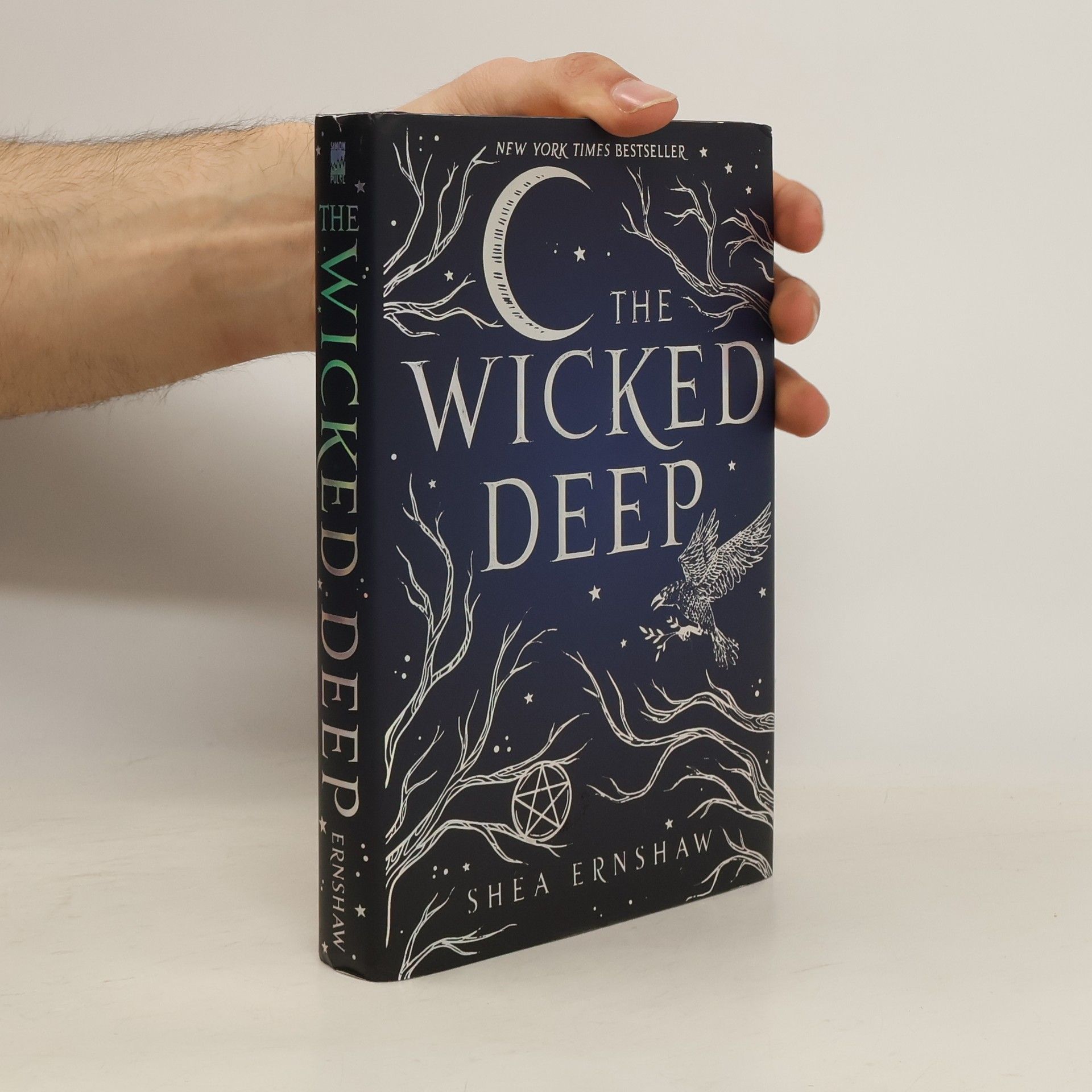 Shea Ernshaw The Wicked Deep