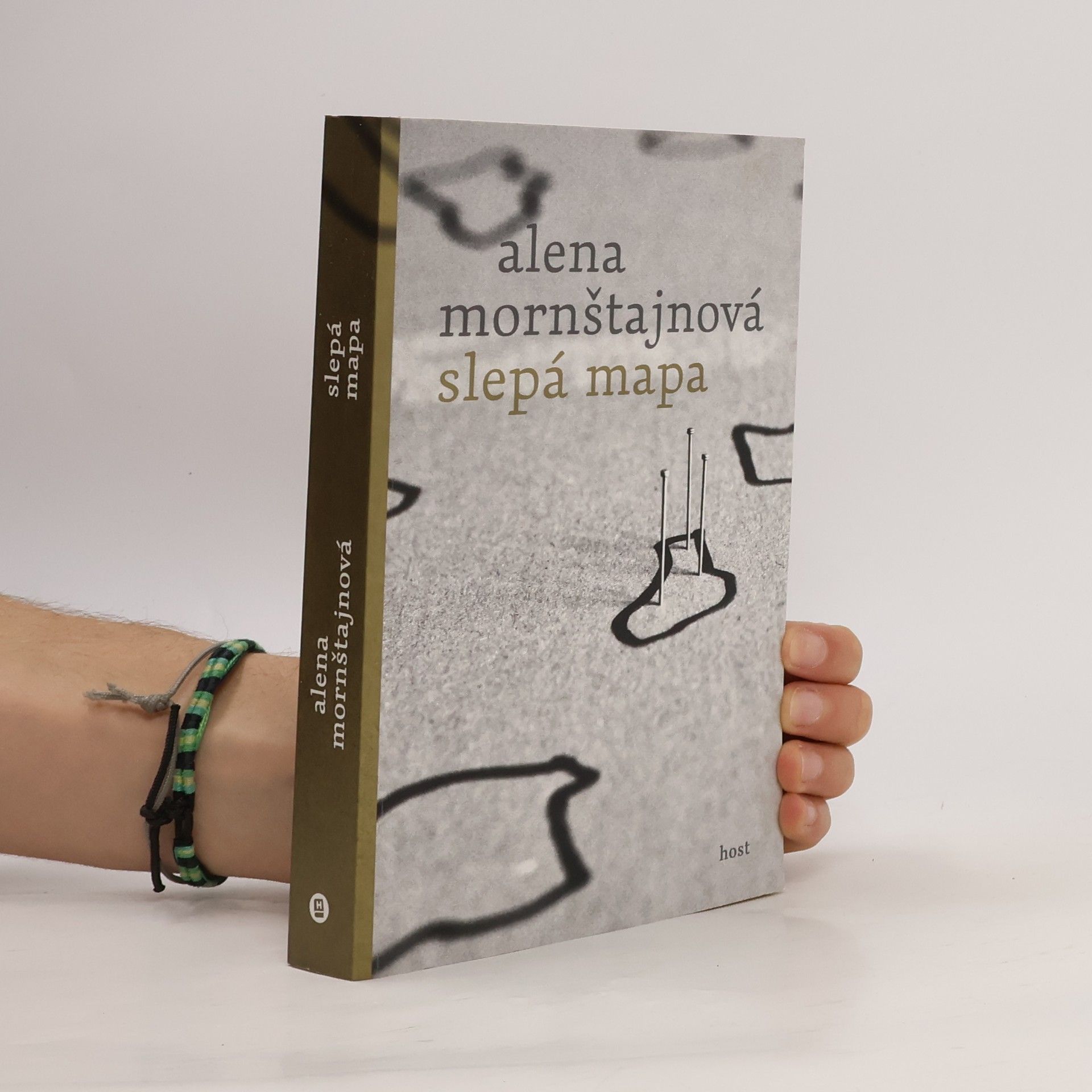 Alena Mornštajnová Slepá mapa