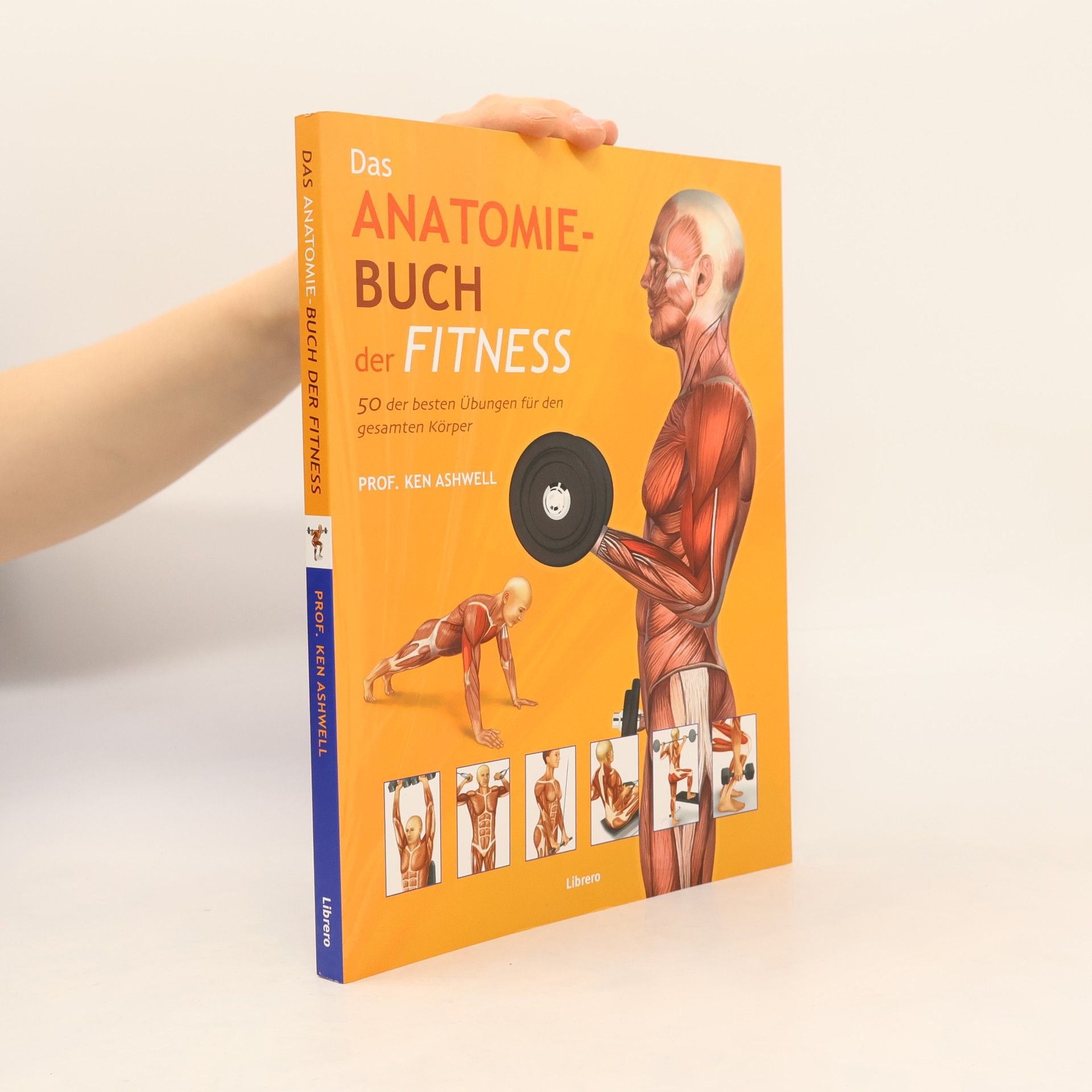 Ken Ashwell Das Anatomie-Buch der Fitness