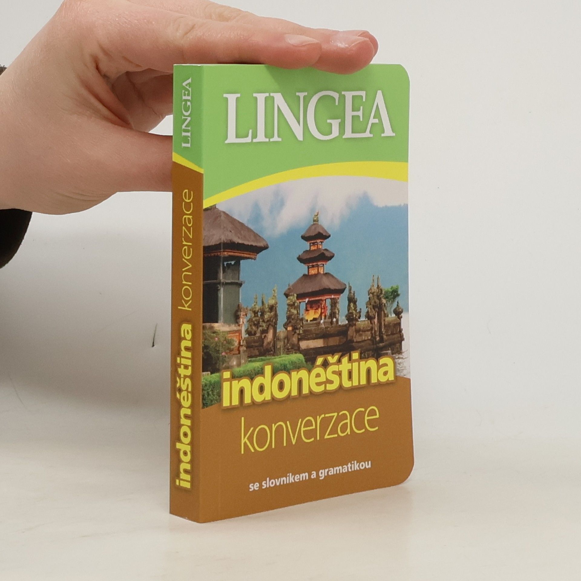 Collectif d'auteurs Indonéština. Konverzace