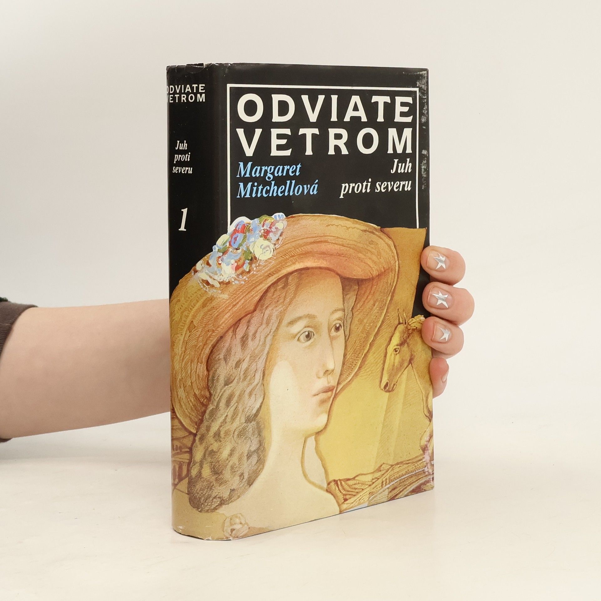 Margaret Mitchell Odviate vetrom 1. Juh proti severu