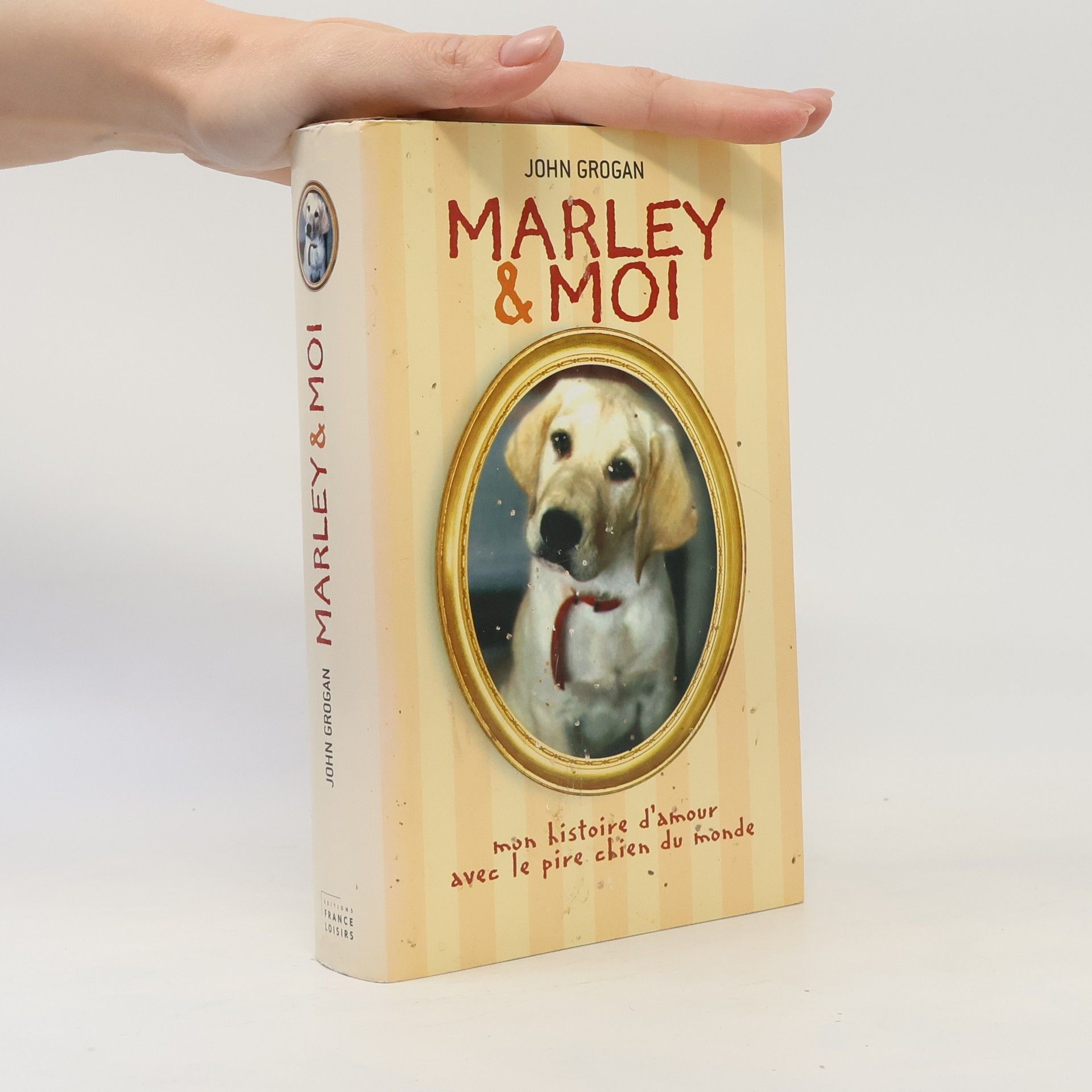 John Grogan Marley & Moi