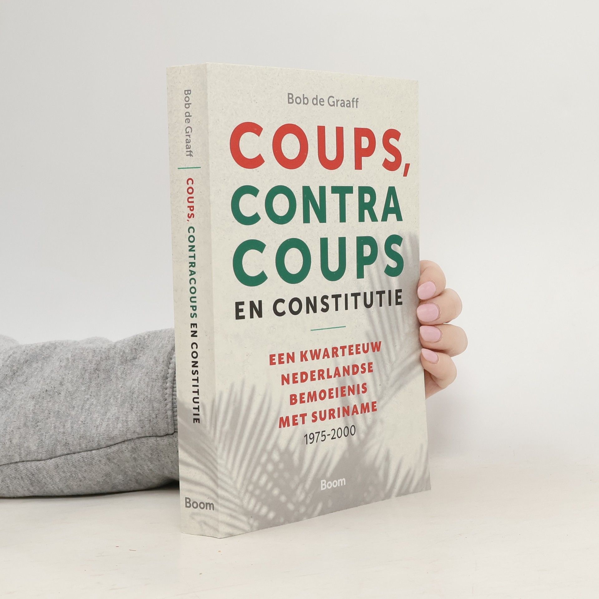 Bob de Graaff Coups, tegencoups en constitutie