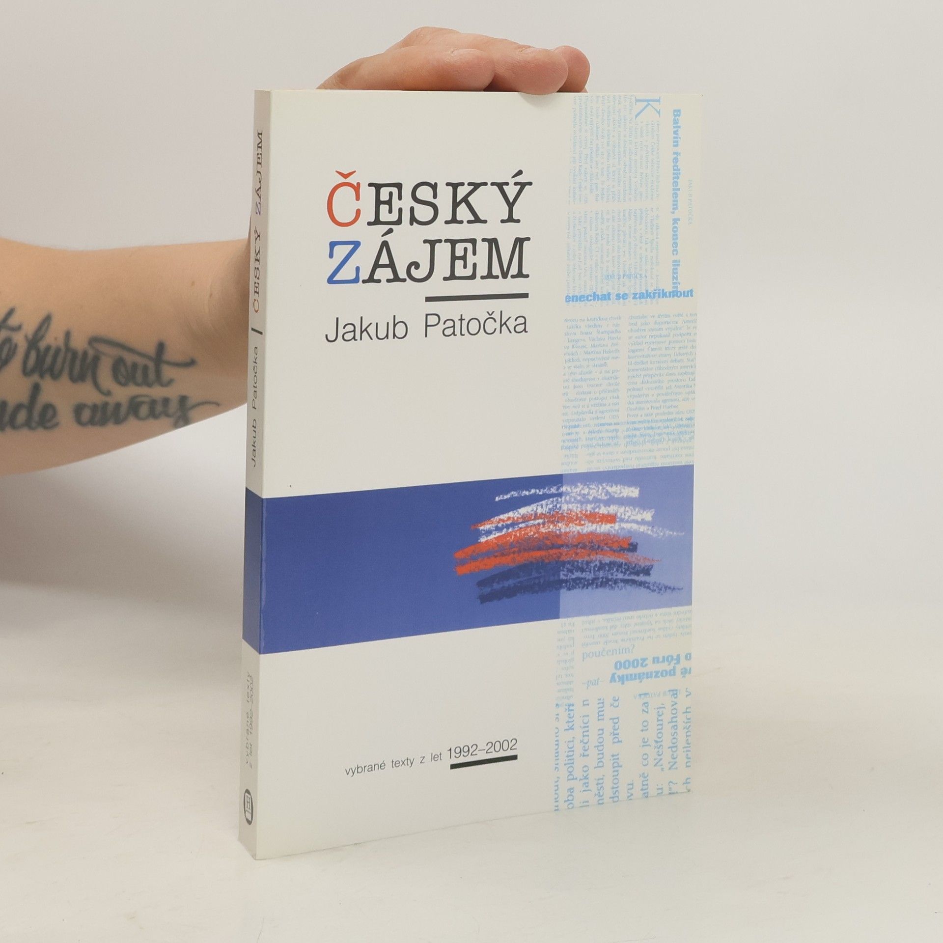 Český zájem: Vybrané texty z let 1992-2002