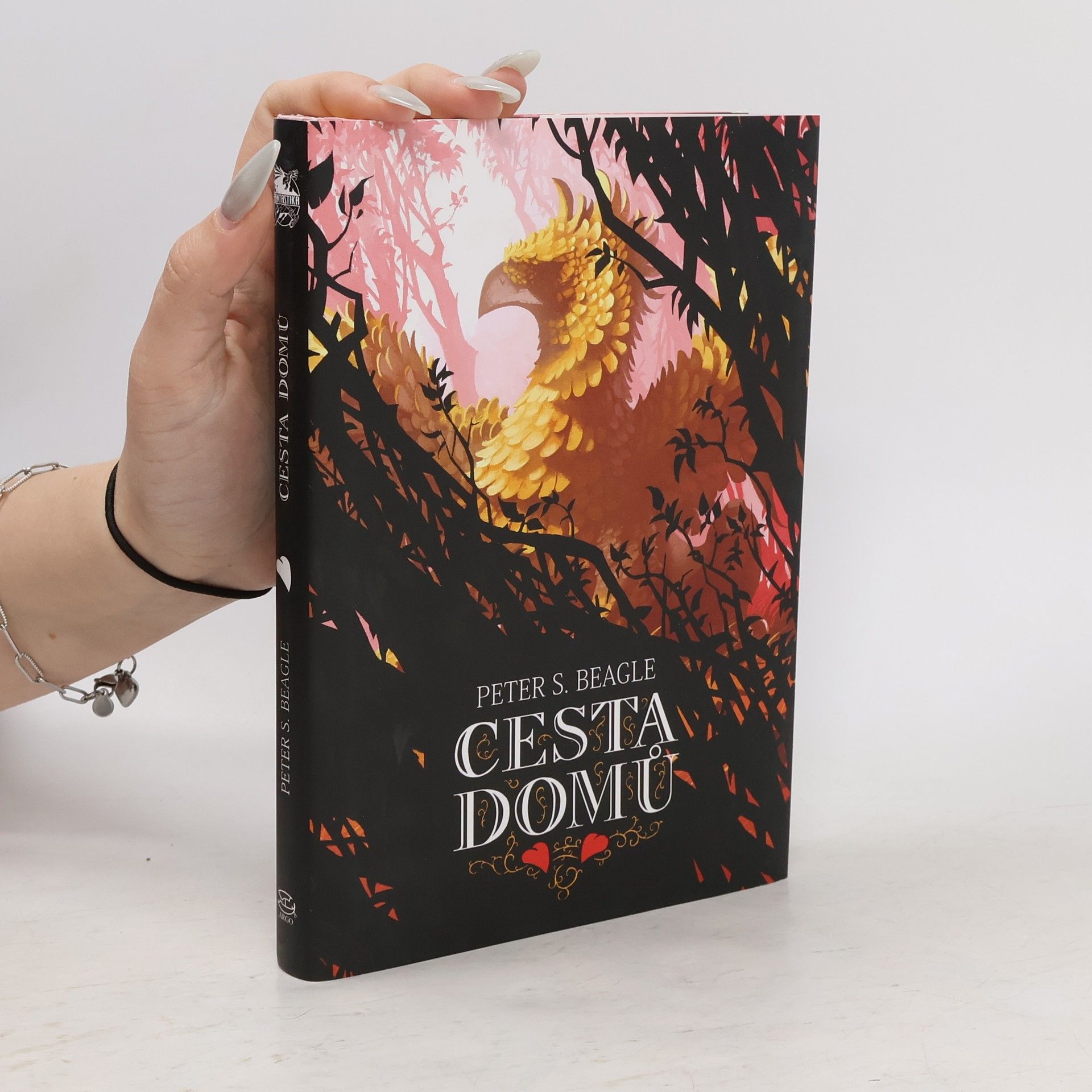 Michael Bronec Cesta domů. Dva příběhy ze světa Posledního jednorožce