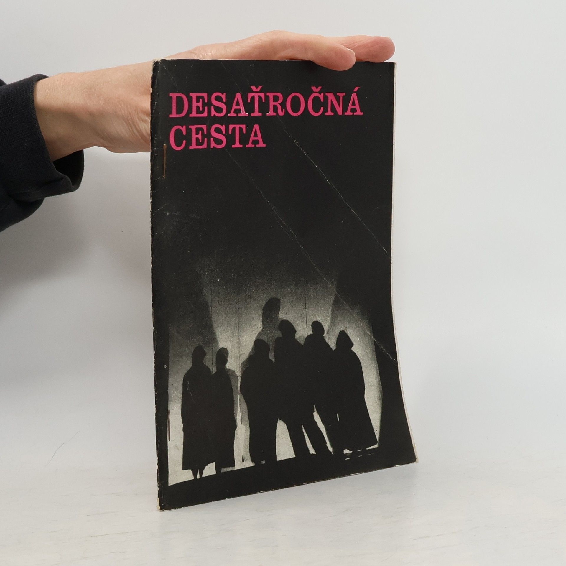 kolektiv Desaťročná cesta