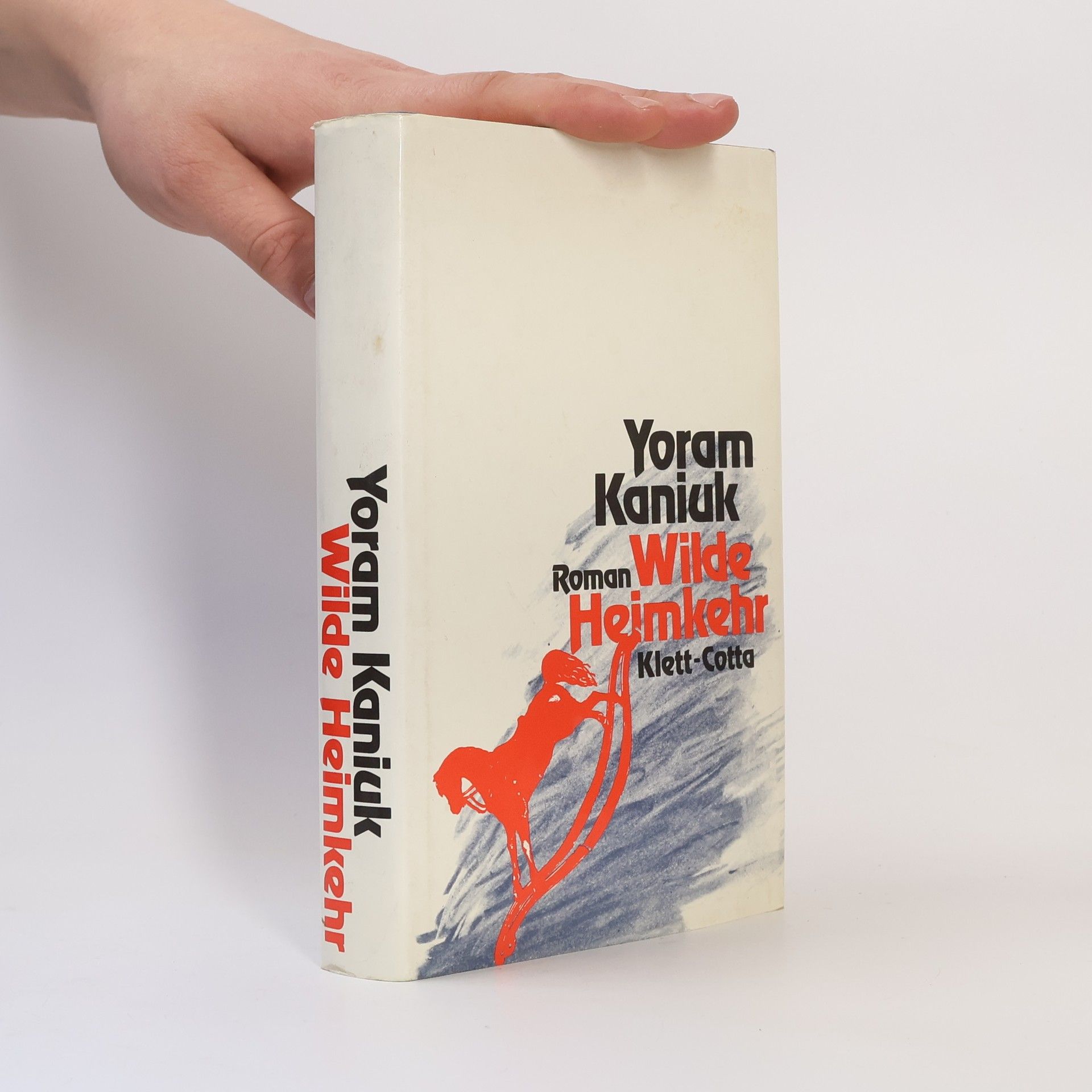 Yoram Kaniuk Wilde Heimkehr