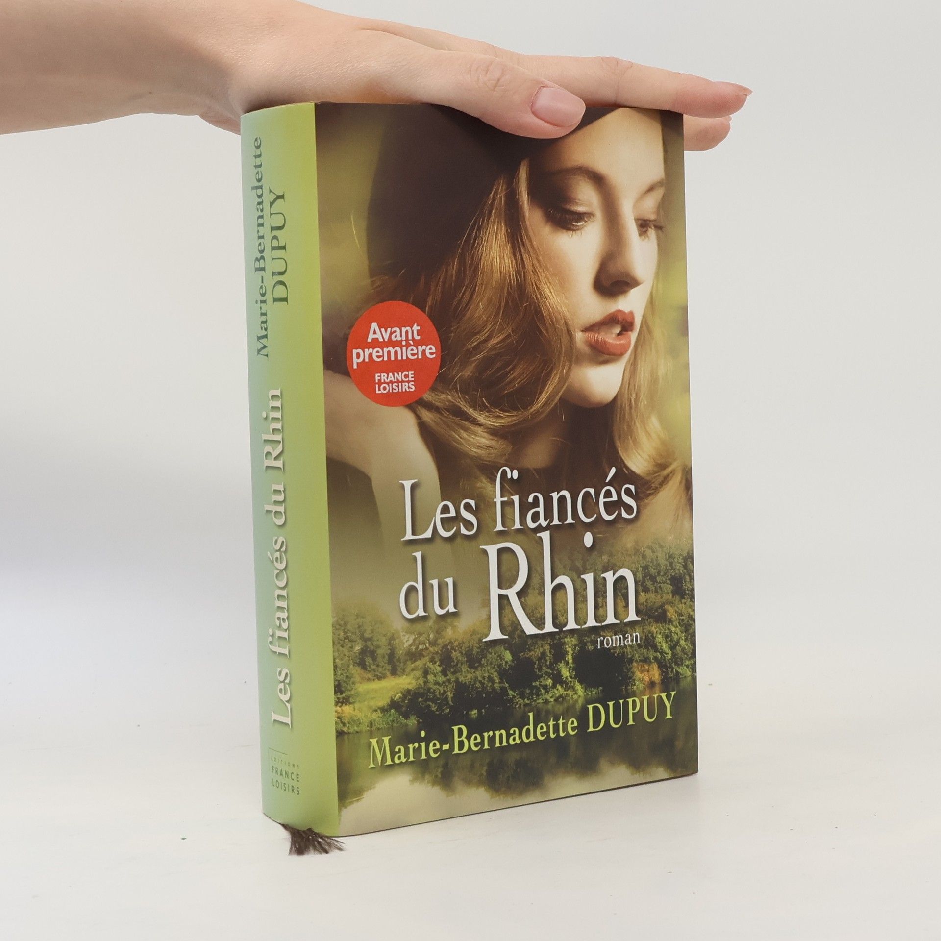 Marie-Bernadette Dupuy Les fiancés du Rhin