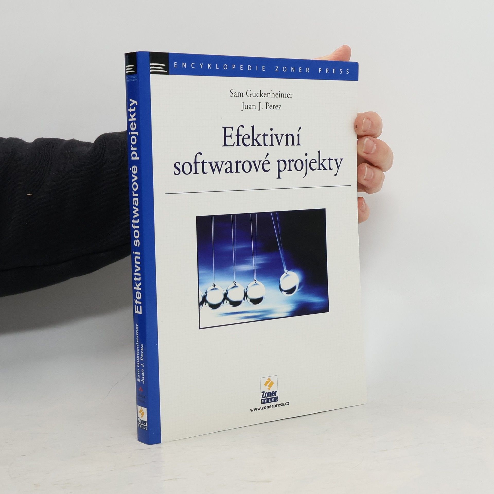 Efektivní softwarové projekty