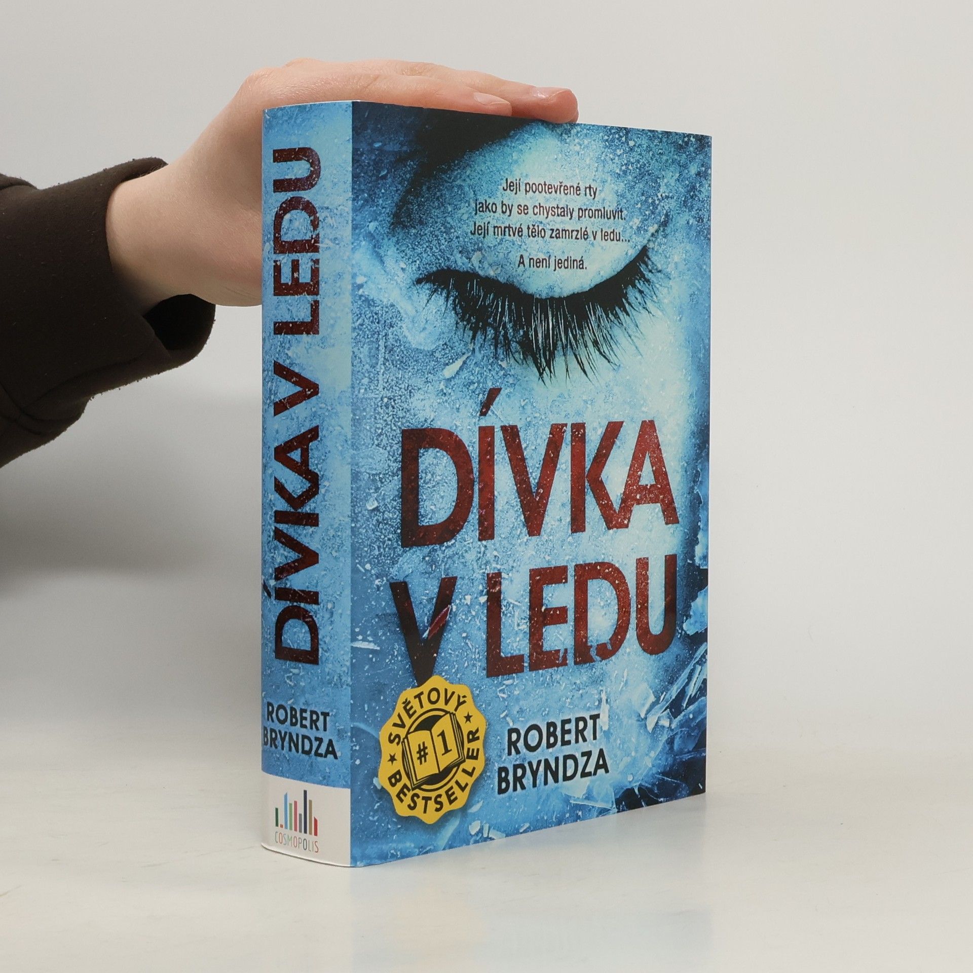 Robert Bryndza Dívka v ledu