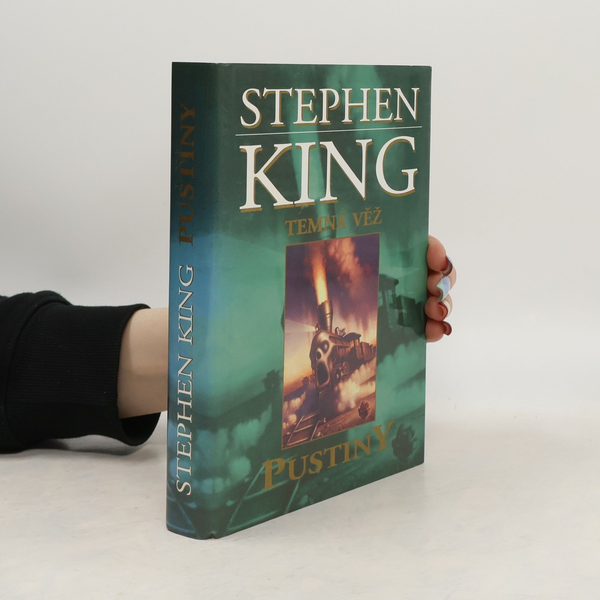 Stephen King Temná věž. Pustiny