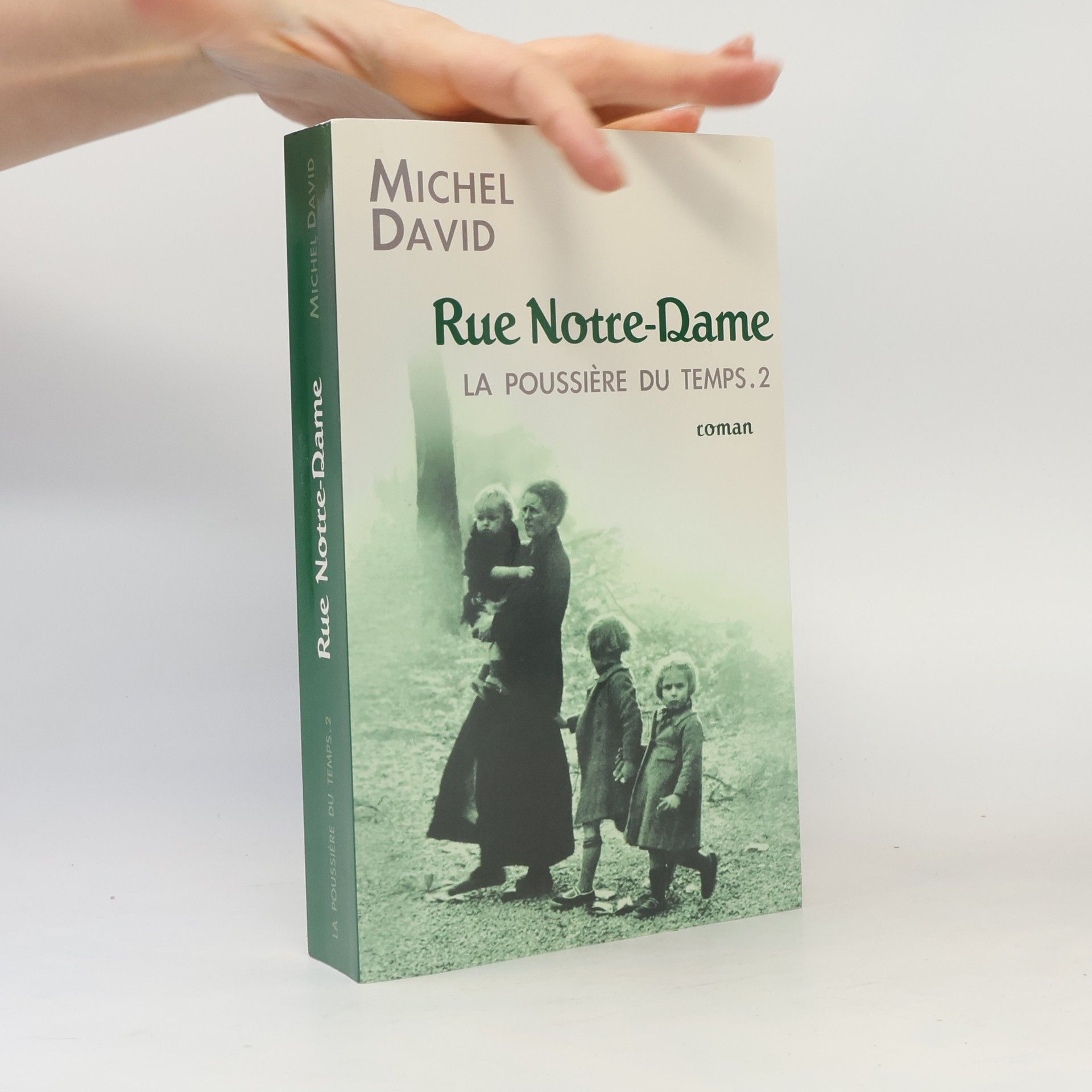 Michel David La poussière du temps - 2: Rue Notre-Dame