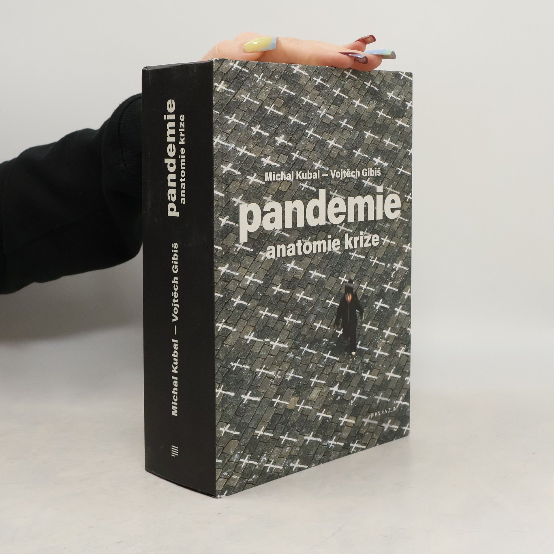 Vojtěch Gibiš Pandemie : anatomie krize