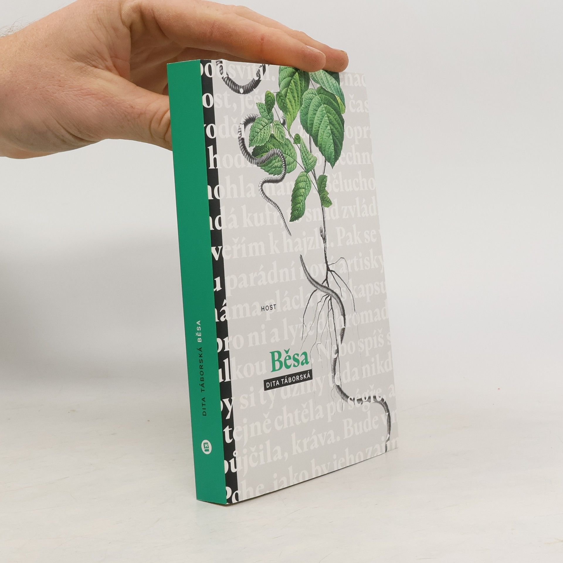 Dita Táborská Běsa