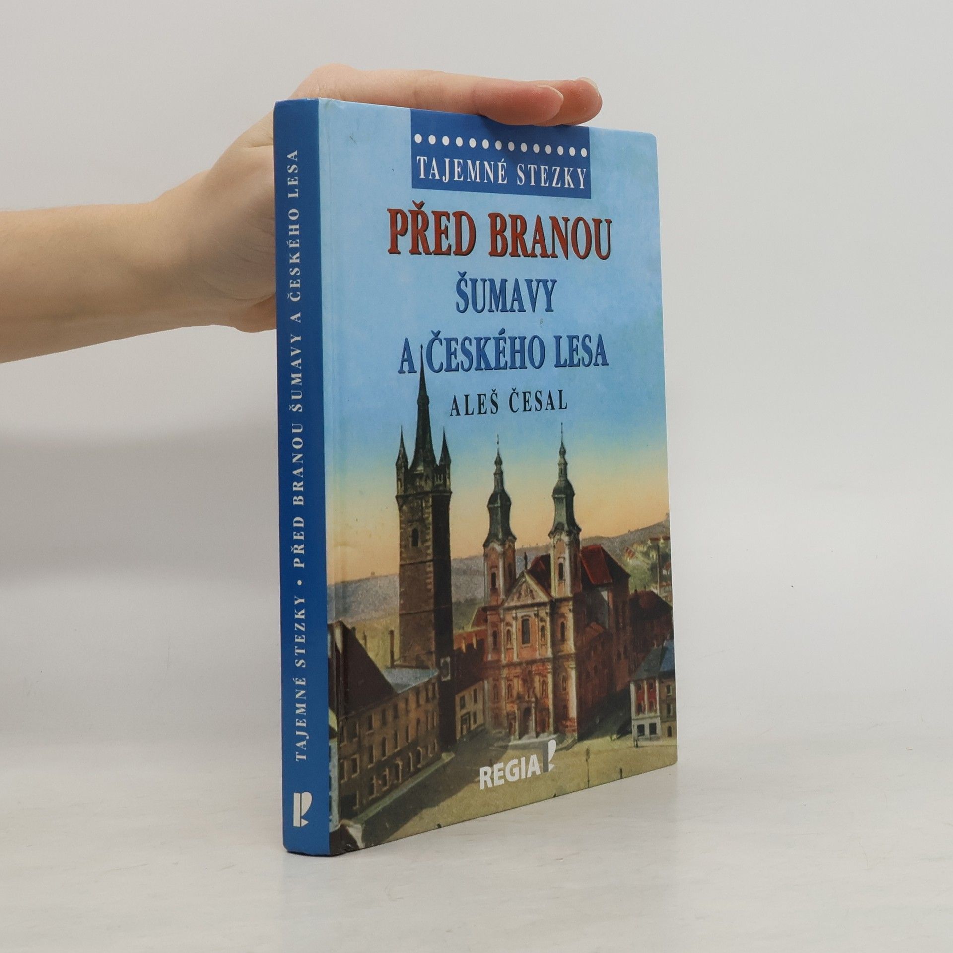 Aleš Česal Před branou Šumavy a Českého lesa