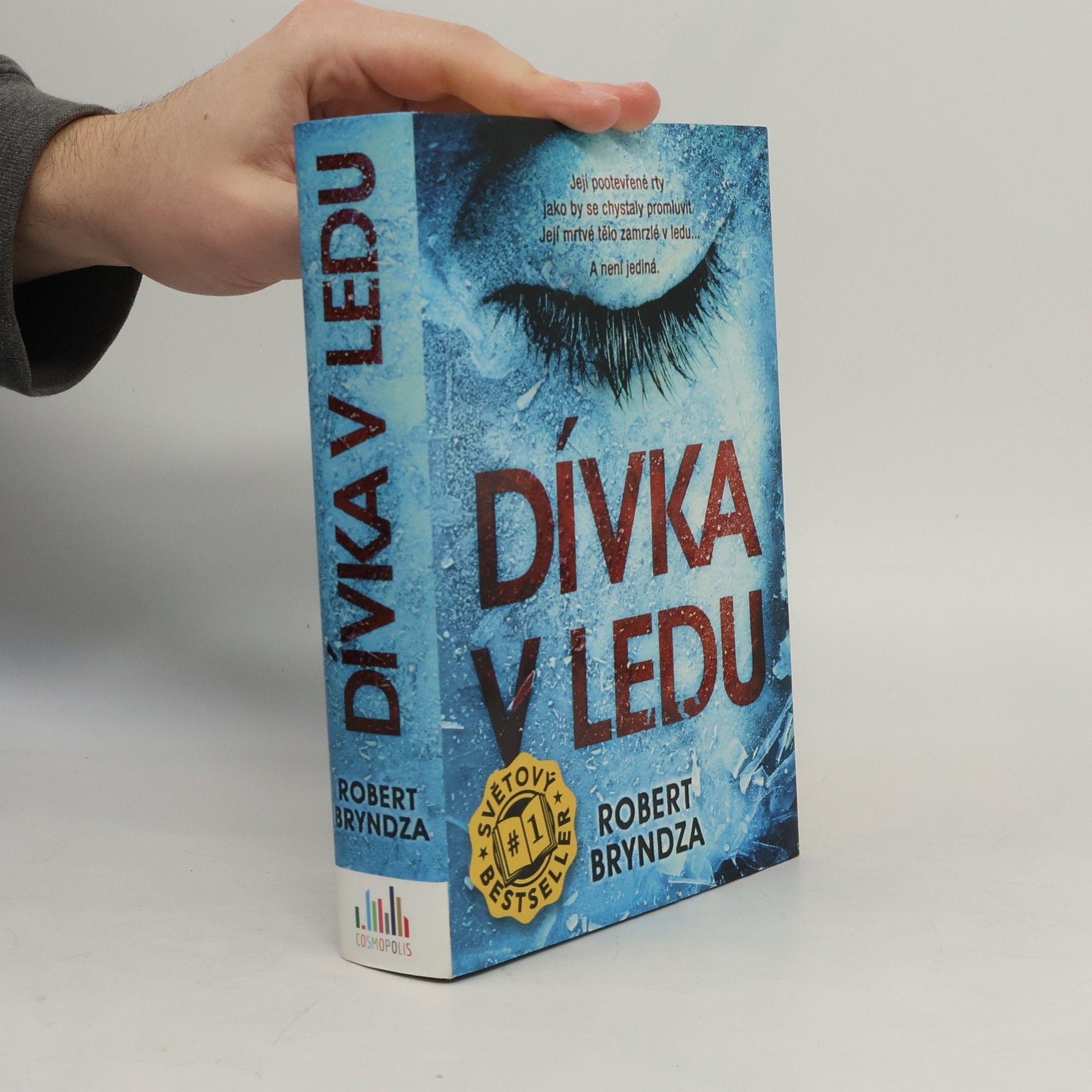 Robert Bryndza Dívka v ledu