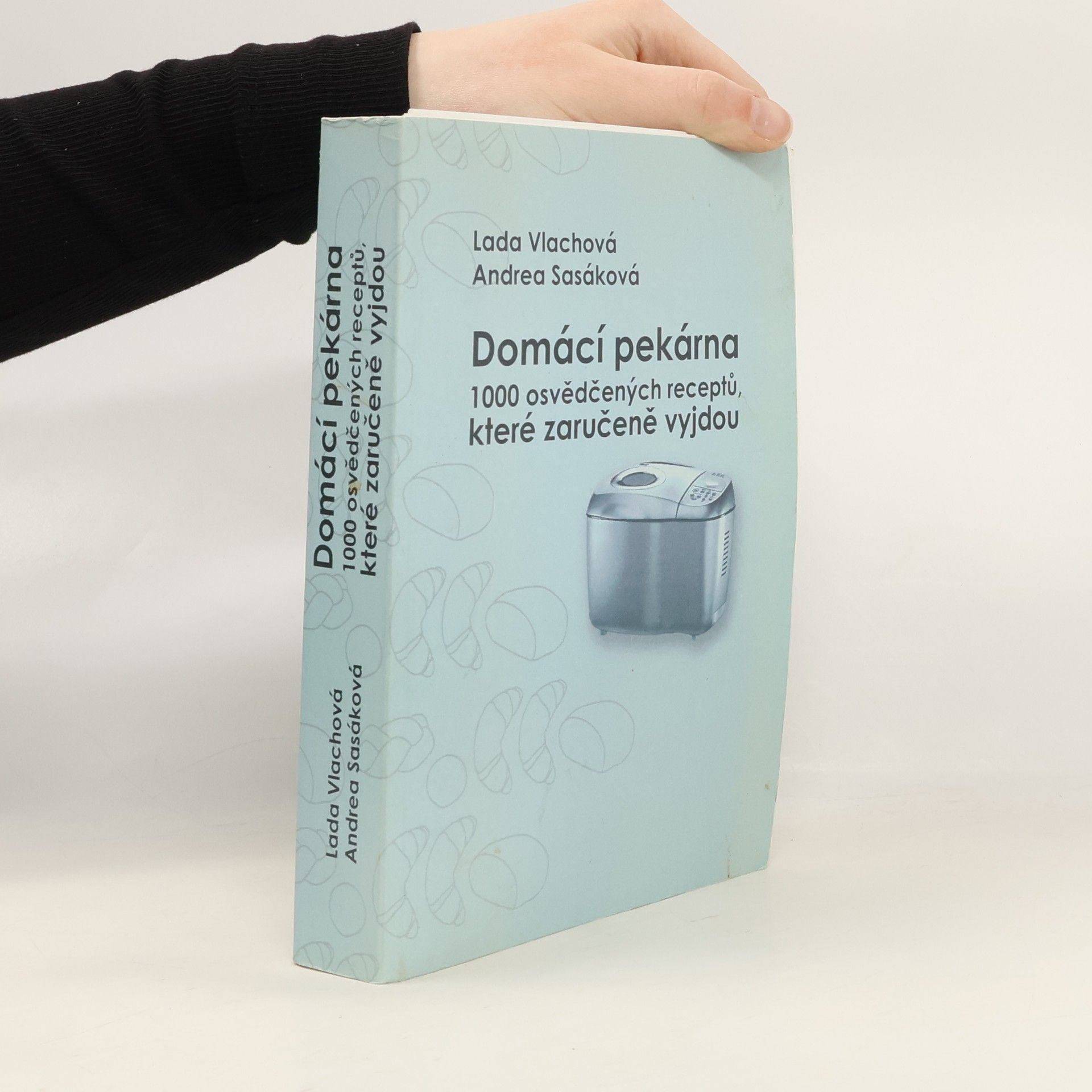 Lada Vlachová Domácí pekárna