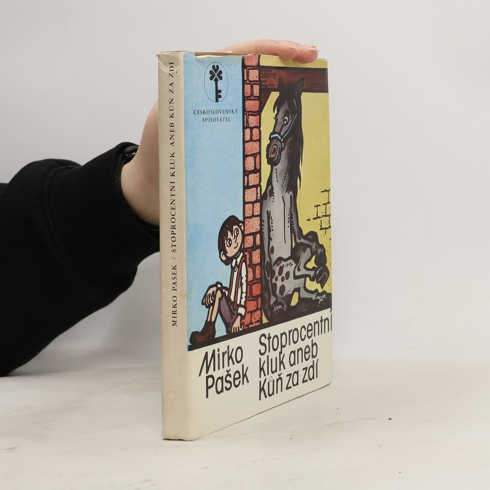 Mirko Pašek Stoprocentní kluk aneb Kůň za zdí