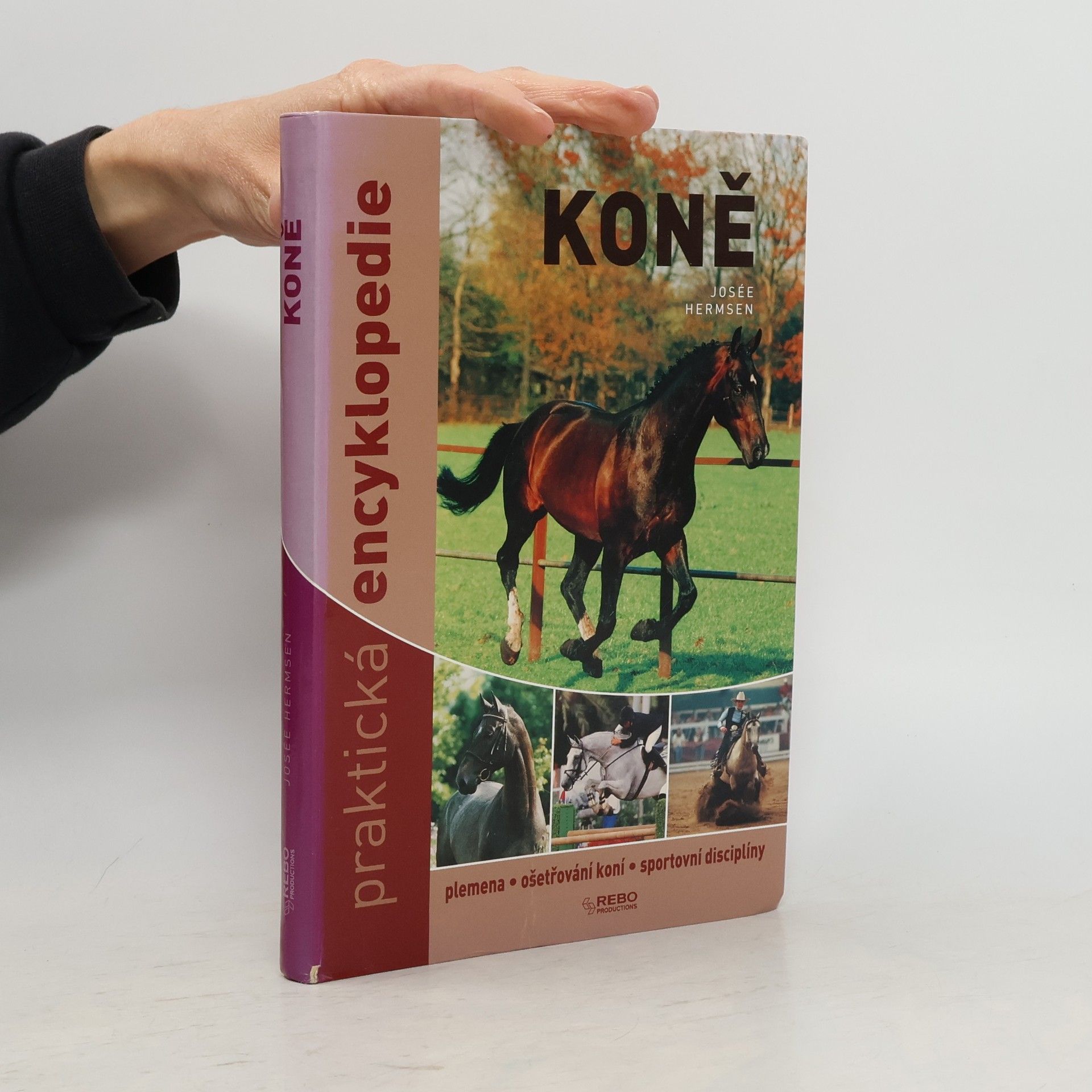 Josée Hermsen Koně - praktická encyklopedie