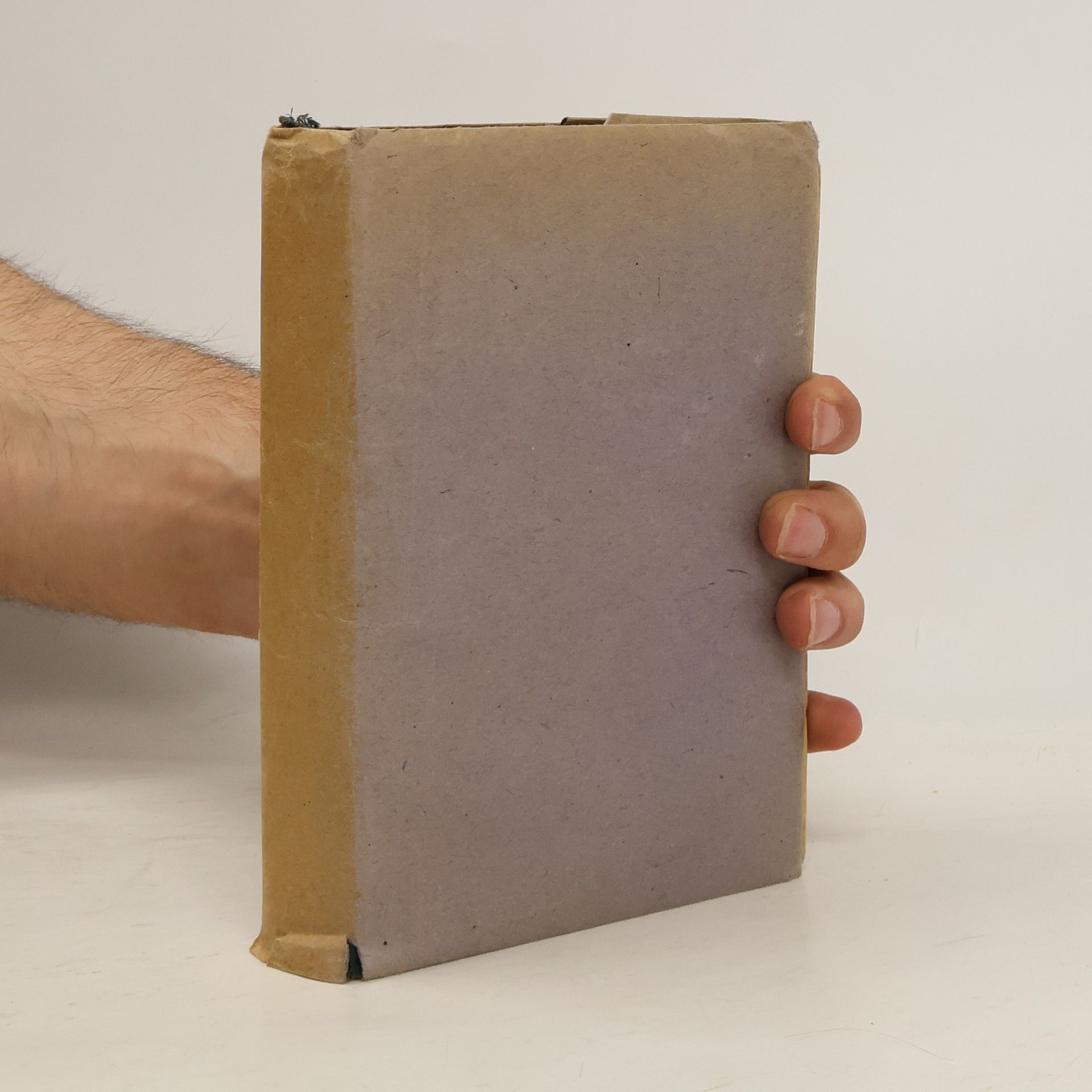 Viktor Boček Záhada vyhaslých očí