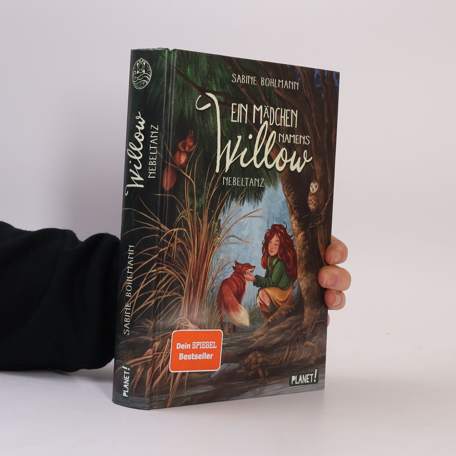 Sabine Bohlmann Ein Mädchen namens Willow 4: Nebeltanz